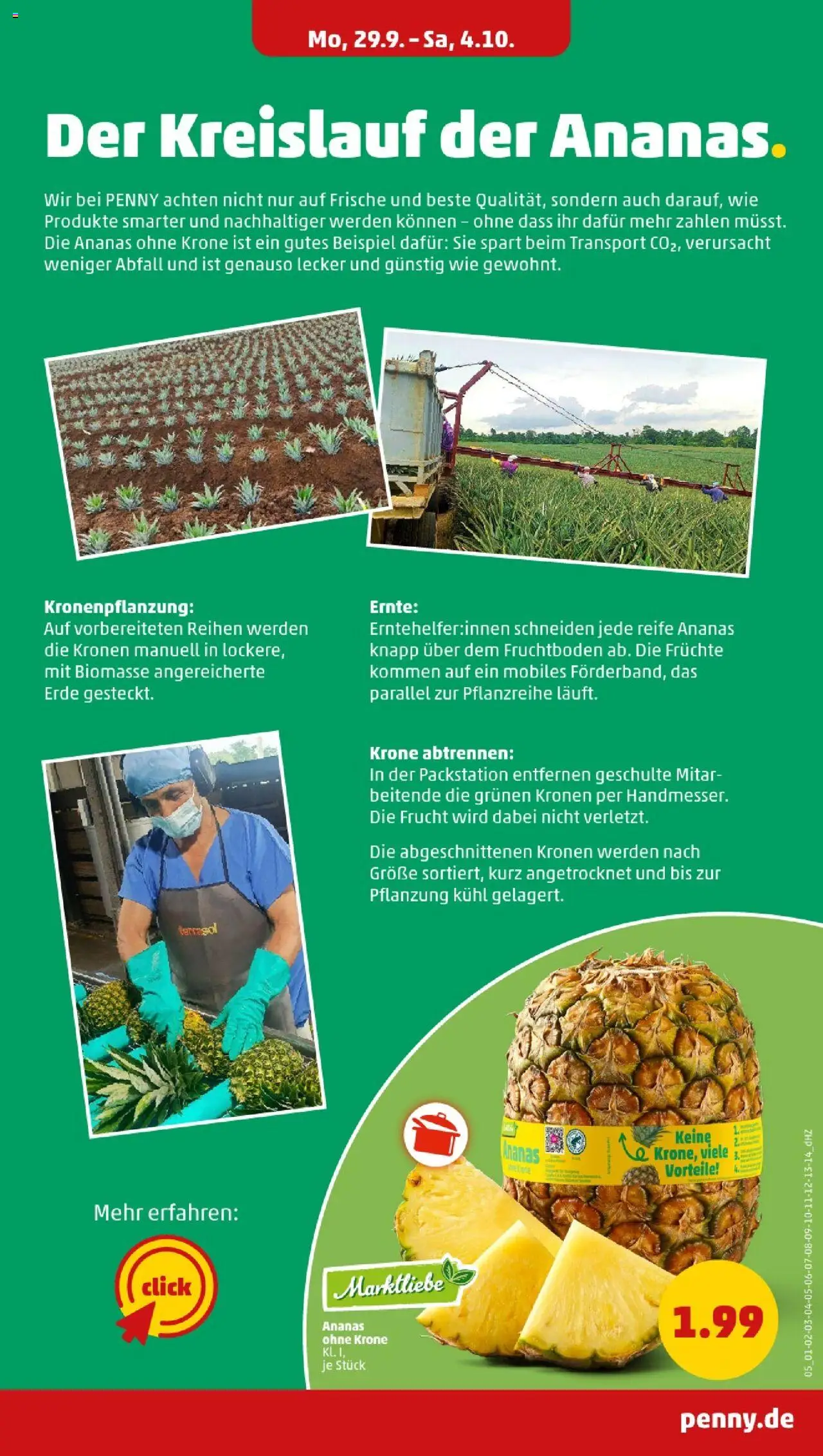 Penny - Saarland  – gültig ab 29.09.2025 | Seite: 7 | Produkte: Ananas