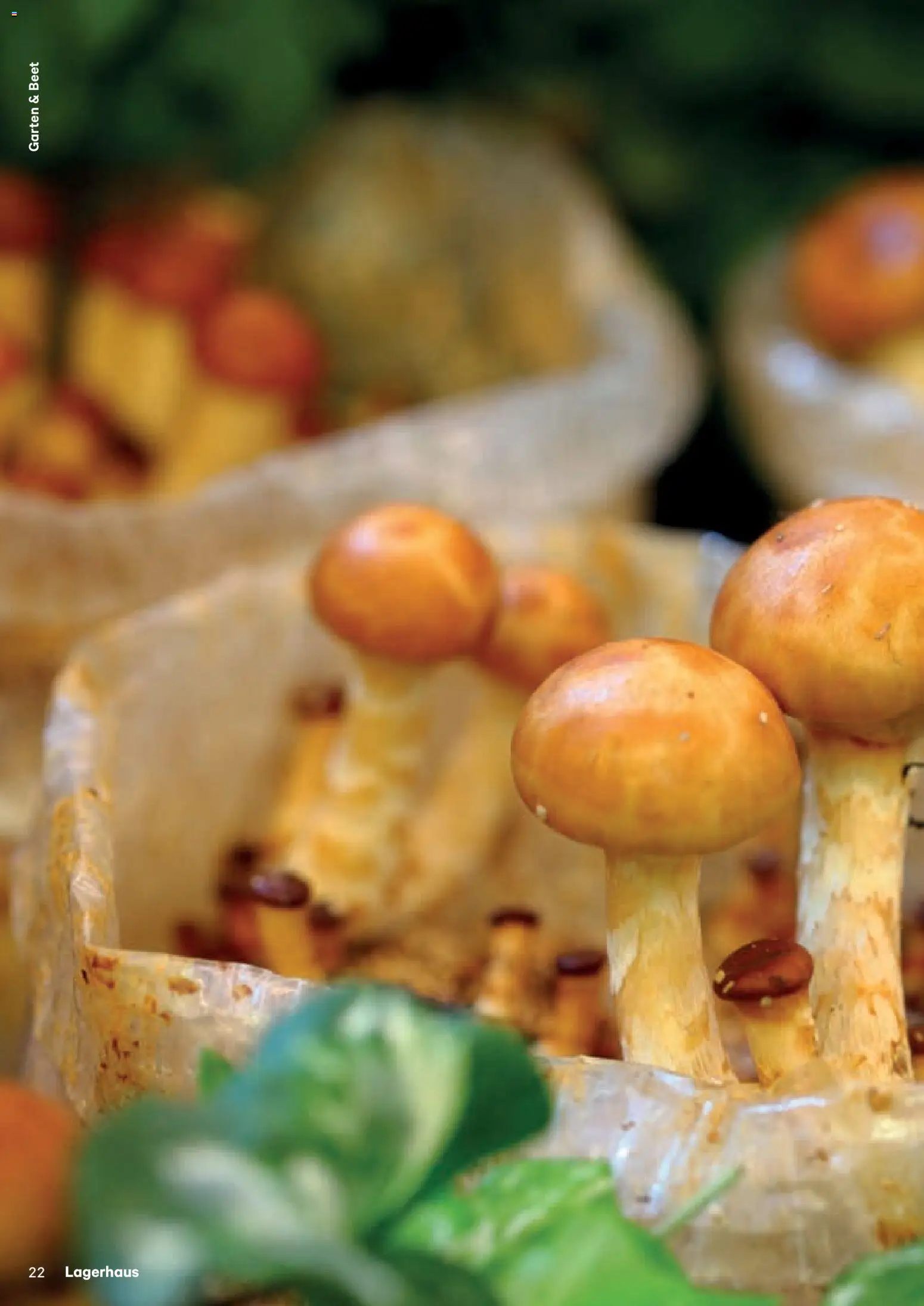 Lagerhaus Fürs Leben am Land gültig ab 01.11.2025 | Seite: 22