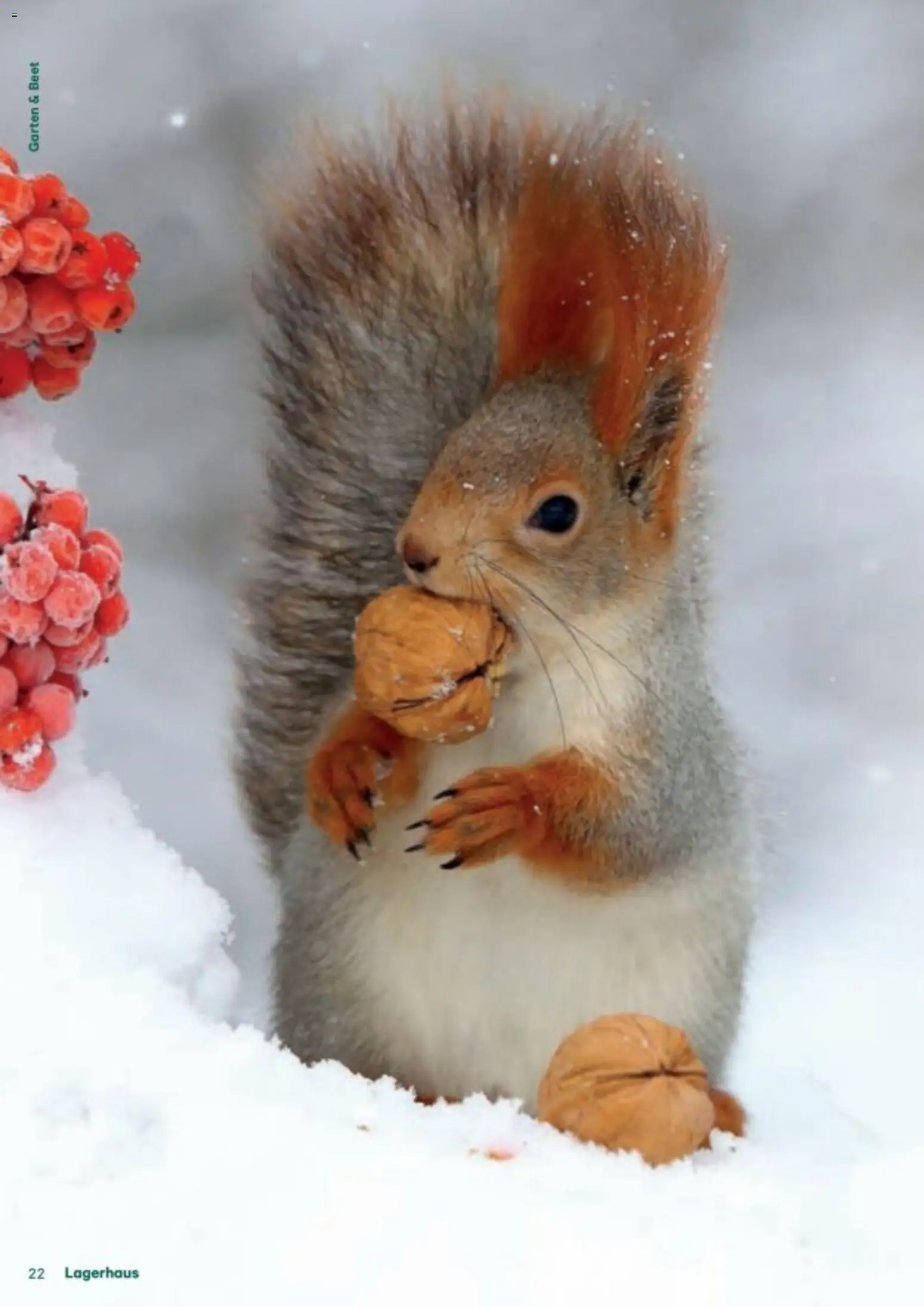 Lagerhaus Fürs Leben am Land gültig ab 01.11.2025 | Seite: 22