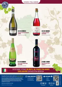 VINO BLANCO VERDICCHHIO SASSI AVARI, Botella de 75 ml. Ref.: 48973 │ válido desde el 01.05.2025 | Página: 24