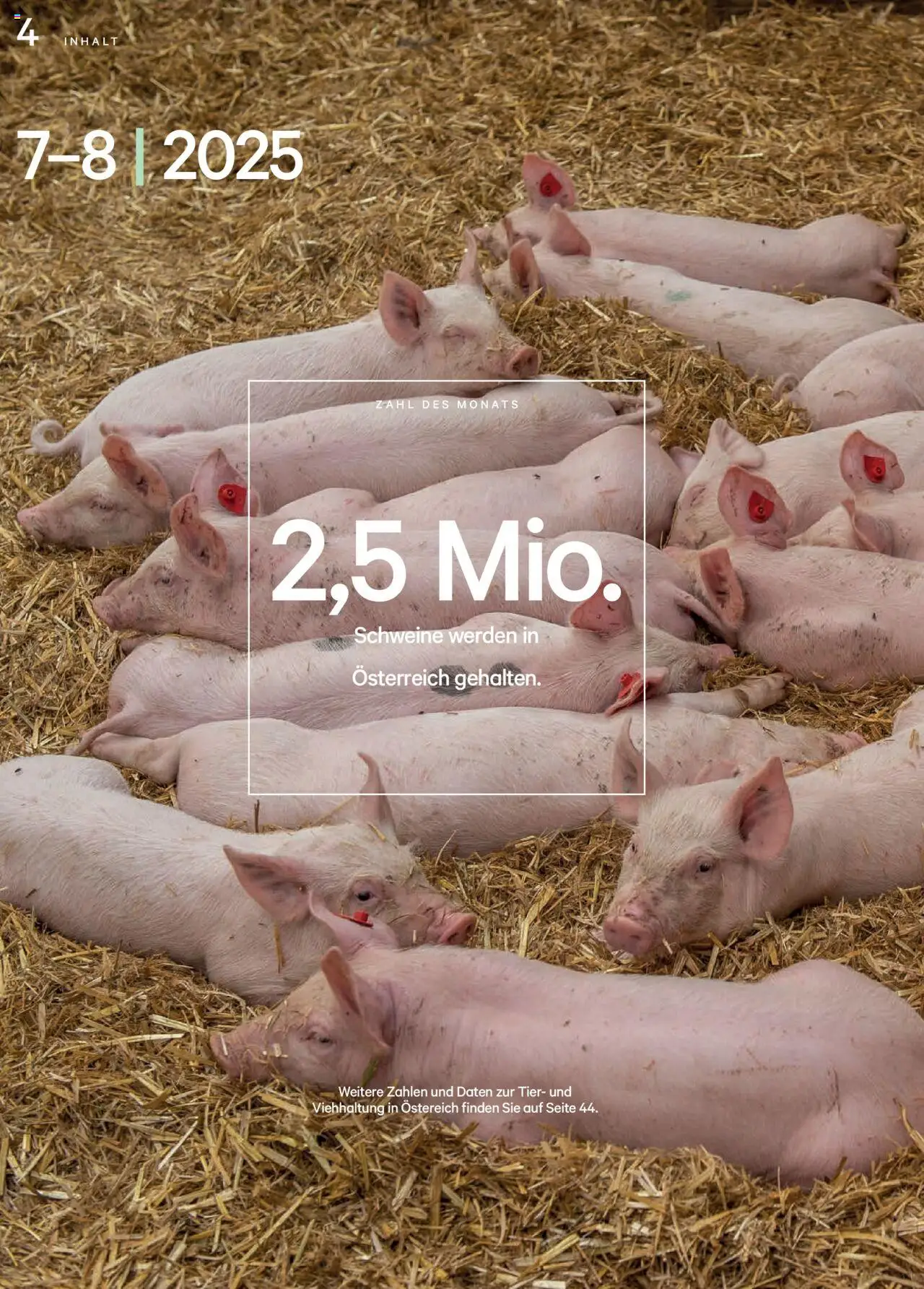 Lagerhaus Unser Land Juli-August 2025 gültig ab 01.07.2025 | Seite: 4