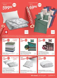 Pfister Aktionen ab 16.12.2025 gültig | Seite: 11 | Produkte: Kopfkissen