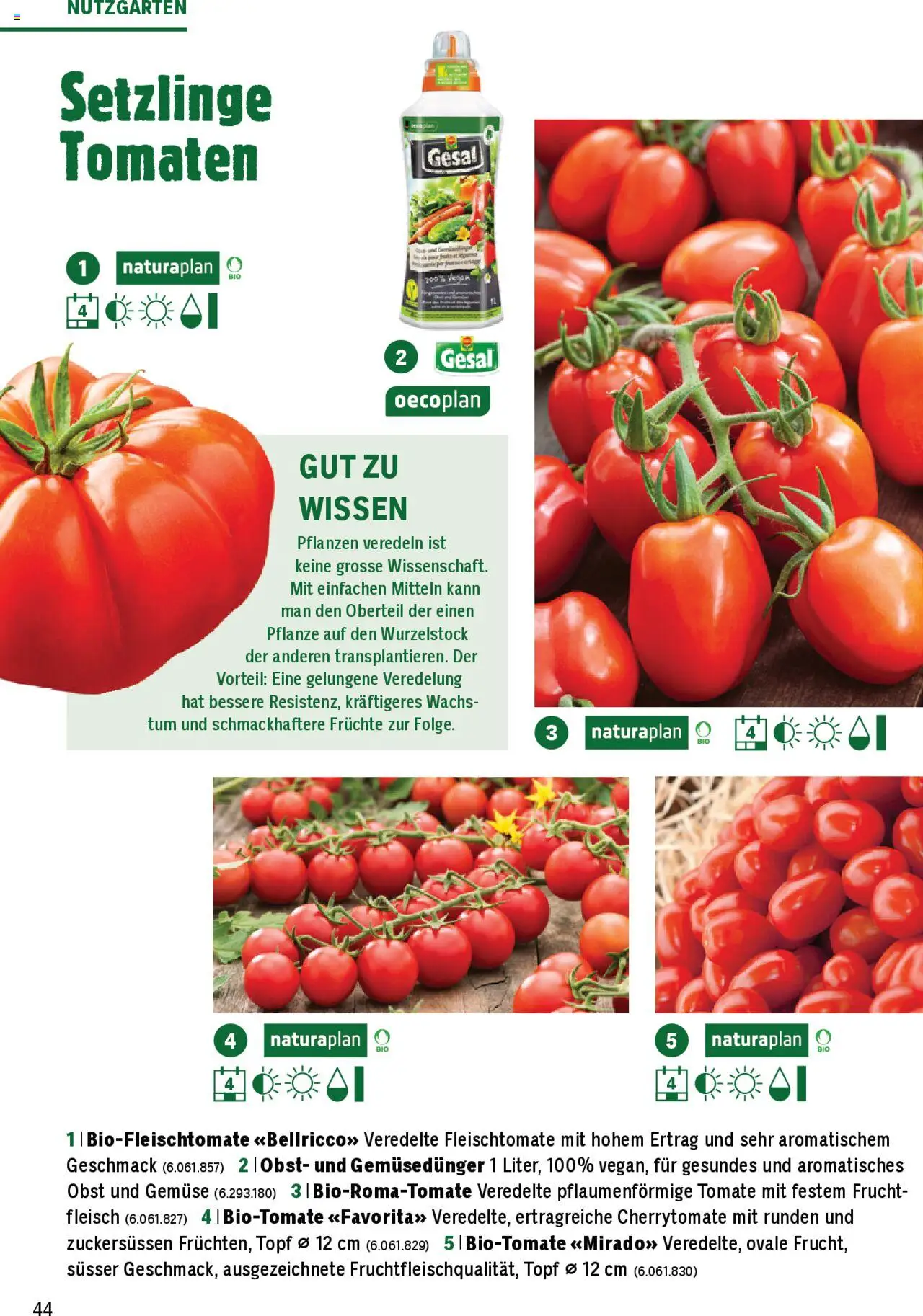 Jumbo Aktionen Dein Garten 2025 ab 21.02.2025 | Seite: 44 | Produkte: Tomaten, Gemüse, Früchte