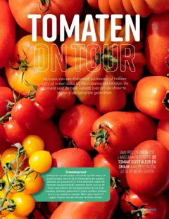 TOMATEN ON TOUR, Tomaten in verschillende gerechten. - Voorbeeld van een folder van Albert Heijn, geldig van 15.09.2025 | Pagina: 77