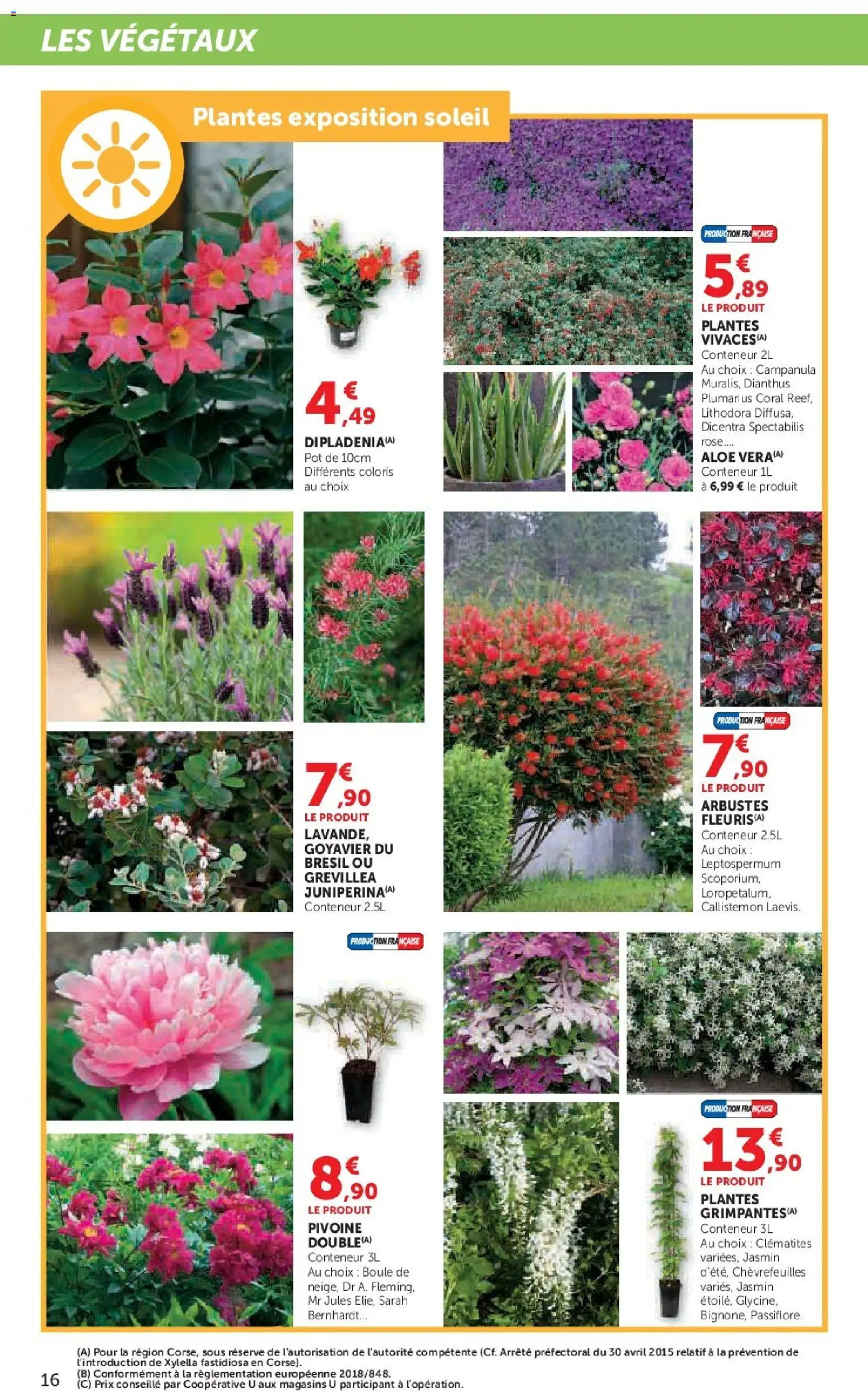 {H1} | Page: 16 | Produits: Plantes