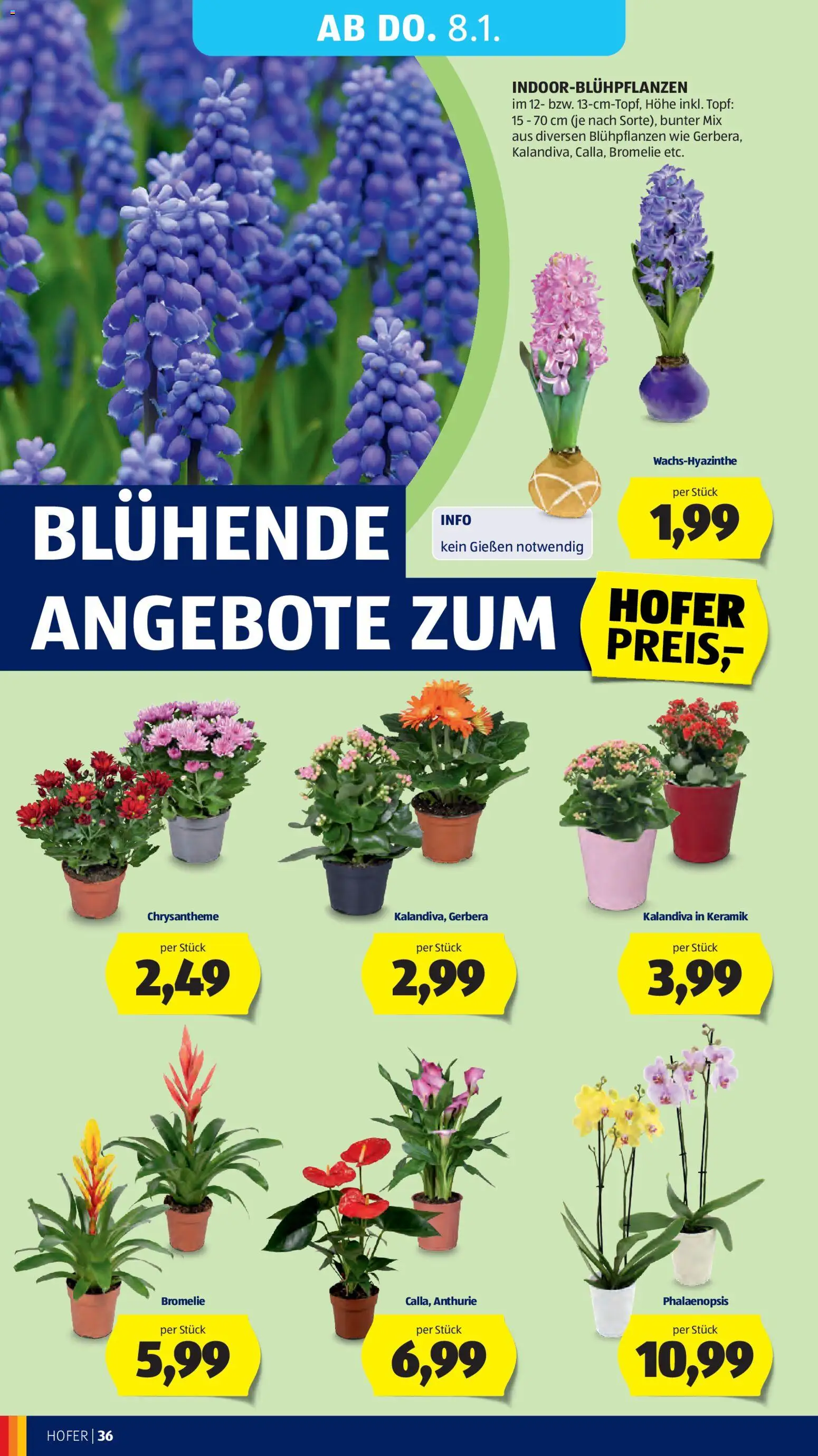 Hofer AT akciós ujság - amely érvényes a következő dátumtól: 02.01.2026 | Oldal: 40