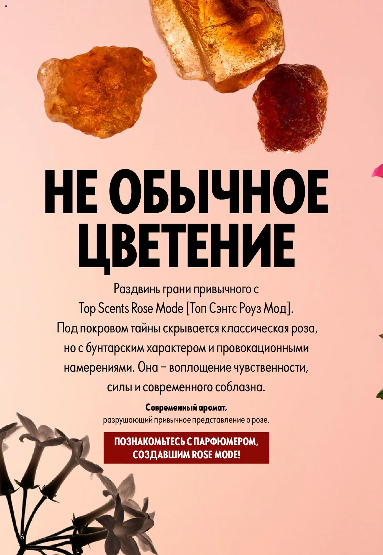 Oriflame akcijos nuo 22.04.2026 | Puslapis: 6