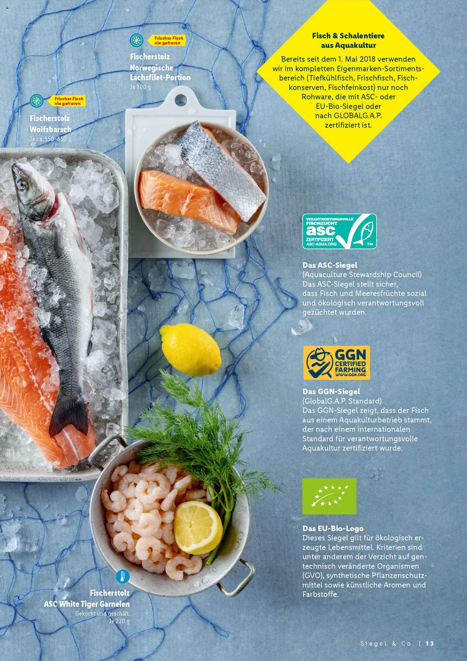 Lidl Fischmagazin – gültig ab 05.02.2026 | Seite: 13