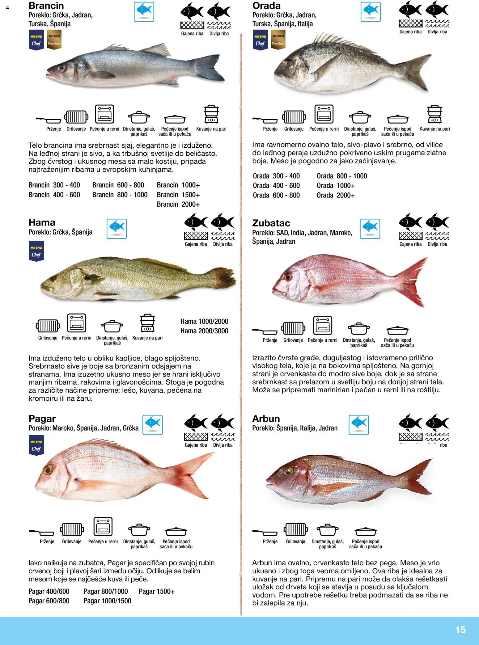 Metro katalog - važi od 10.12.2025 | Strana: 15 | Proizvode: Orada, Brancin, Riba
