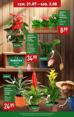 Aldi Gazetka od 28.07.2025 | Strona: 31