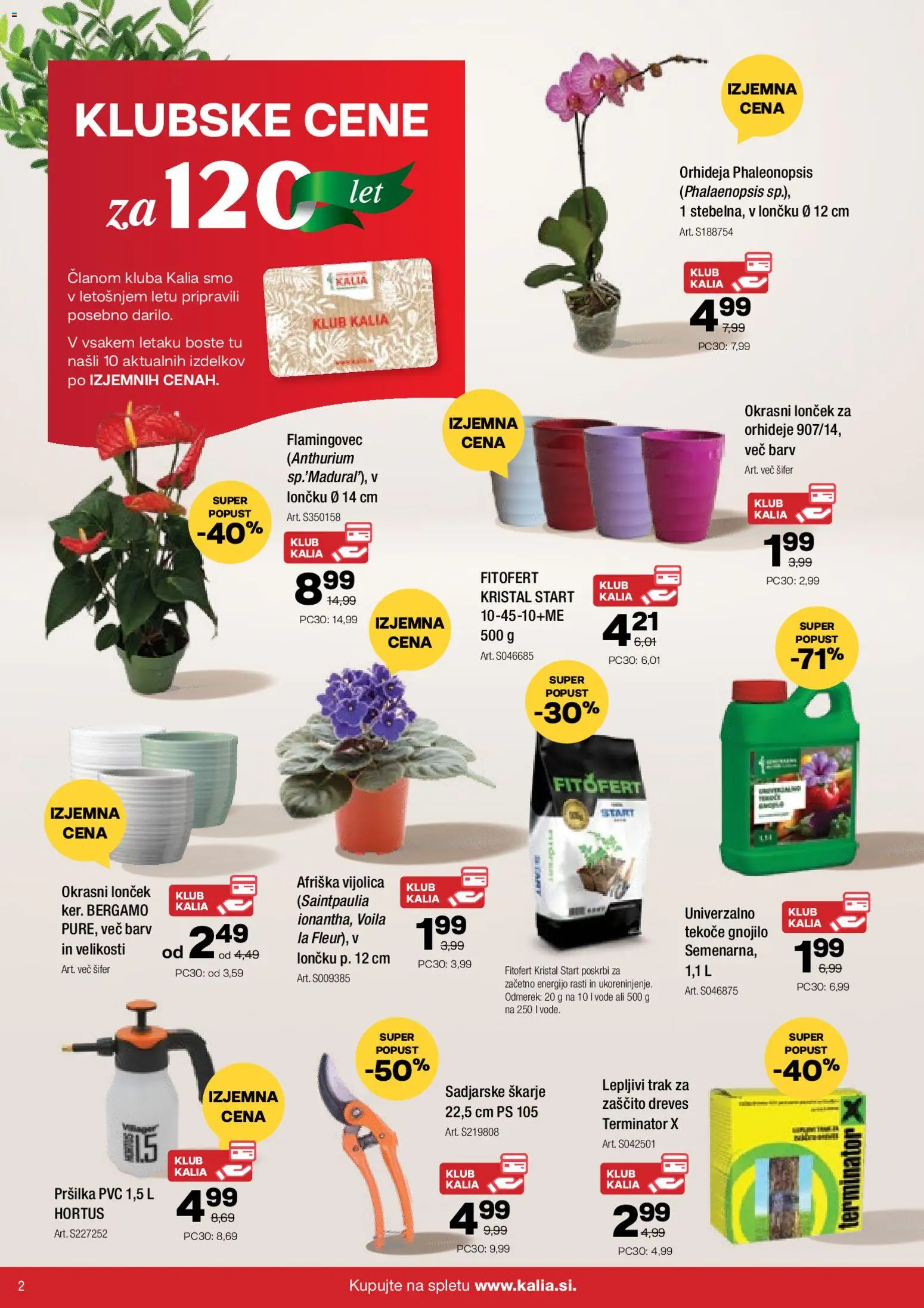 Novi Kalia katalog ponudbe – veljaven od 12.01.2026 | Stran: 2 | Izdelki: Okrasni loncek