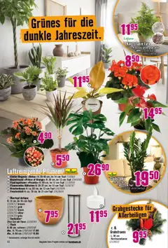 Hornbach Aktionen ab 13.10.2025 gültig | Seite: 12 | Produkte: Tisch