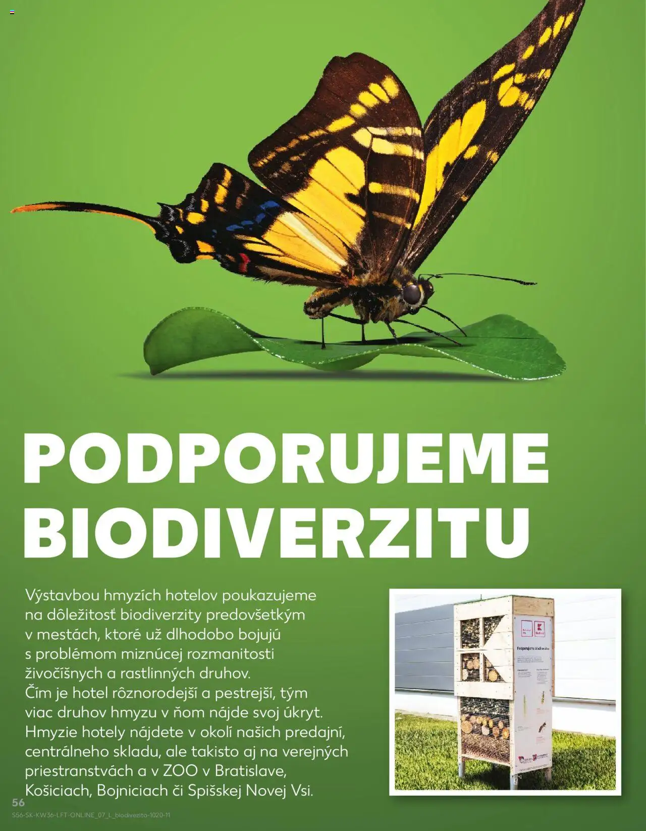 Nové Kaufland akcie – leták je platný od 04.09.2025 | Strana: 56