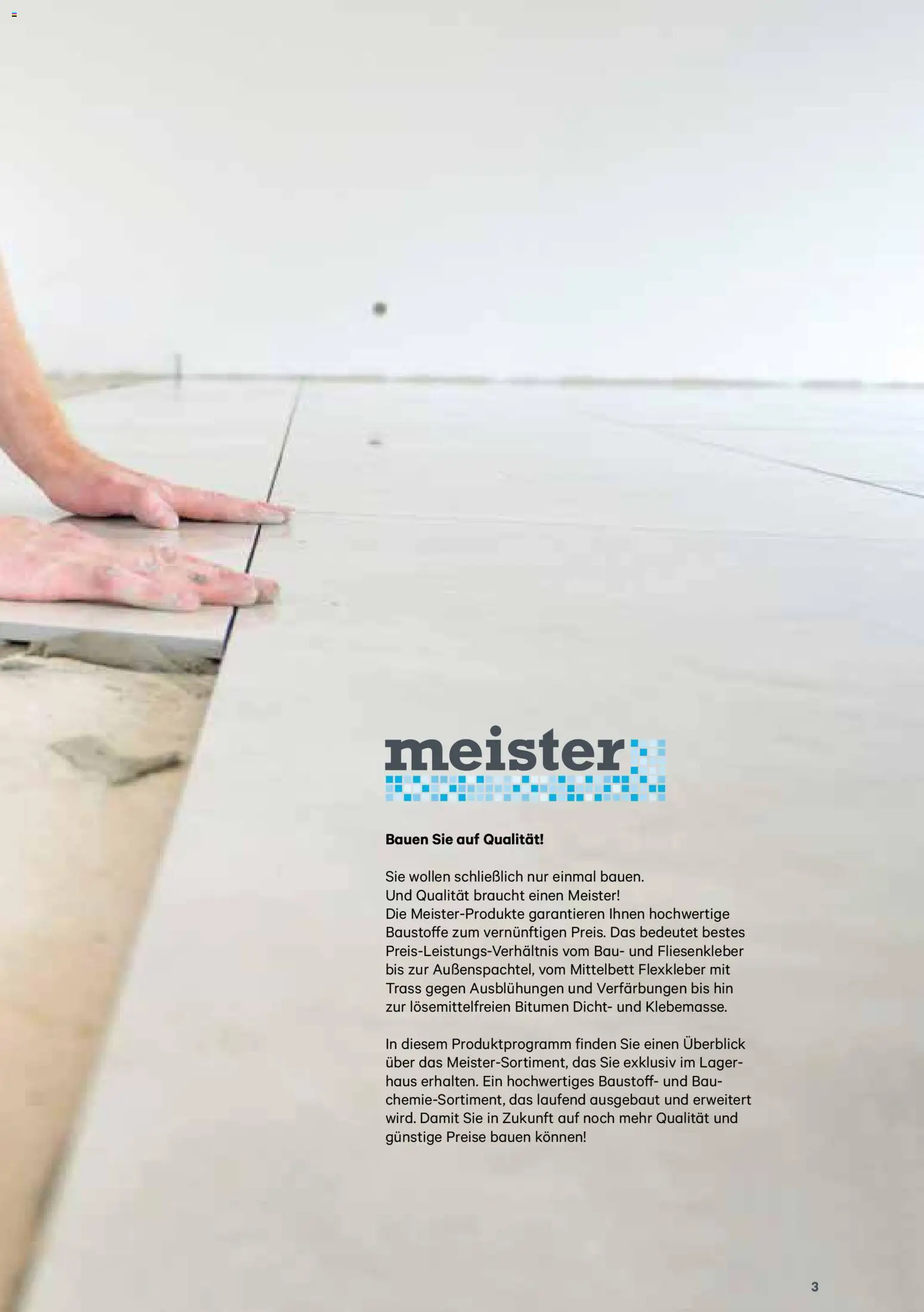 Lagerhaus  Meister Katalog 2026 gültig ab 02.01.2026 | Seite: 3