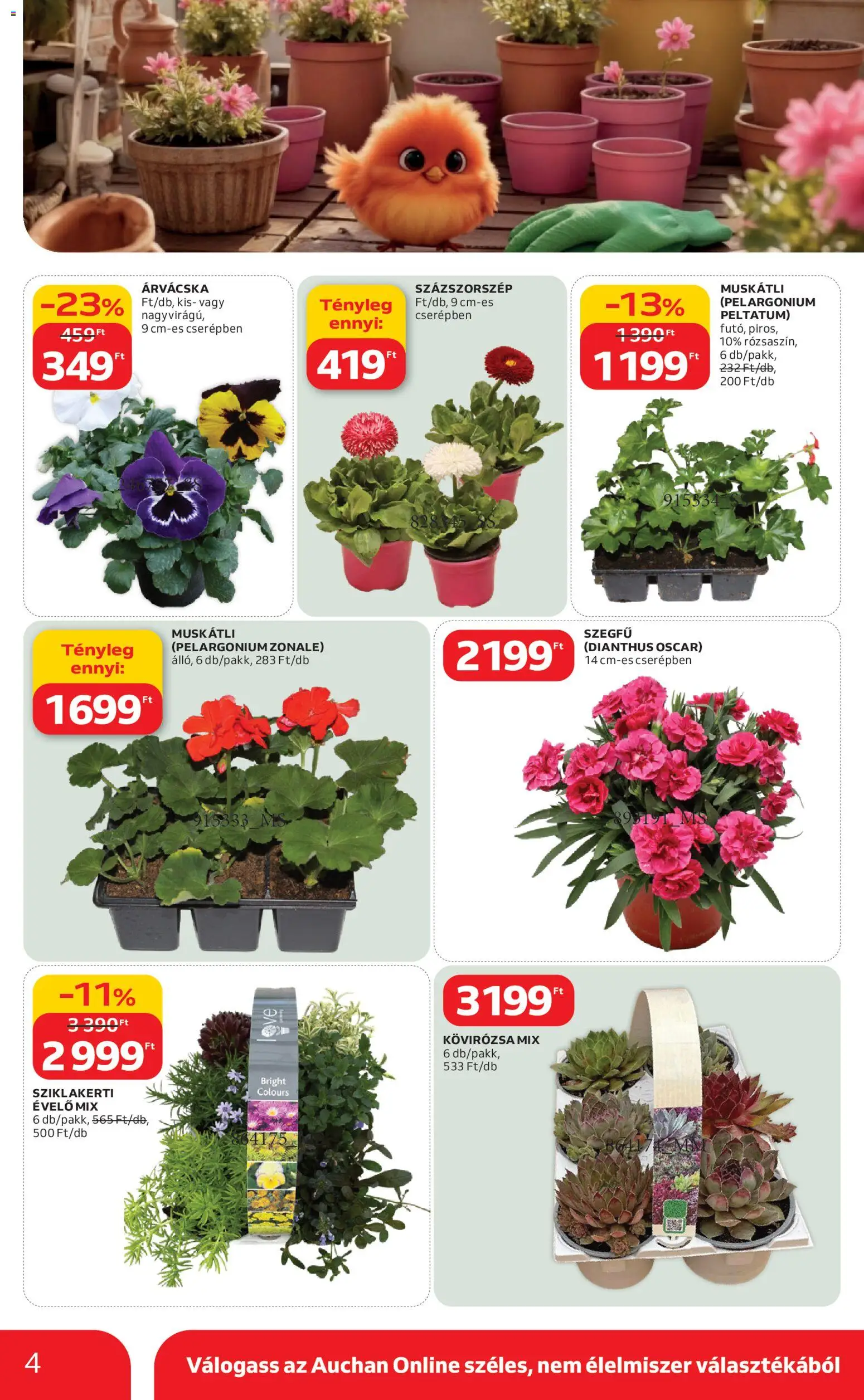 Auchan akciós ujság - amely érvényes a következő dátumtól: 05.03.2026 | Oldal: 4 | Termékek: Árvácska