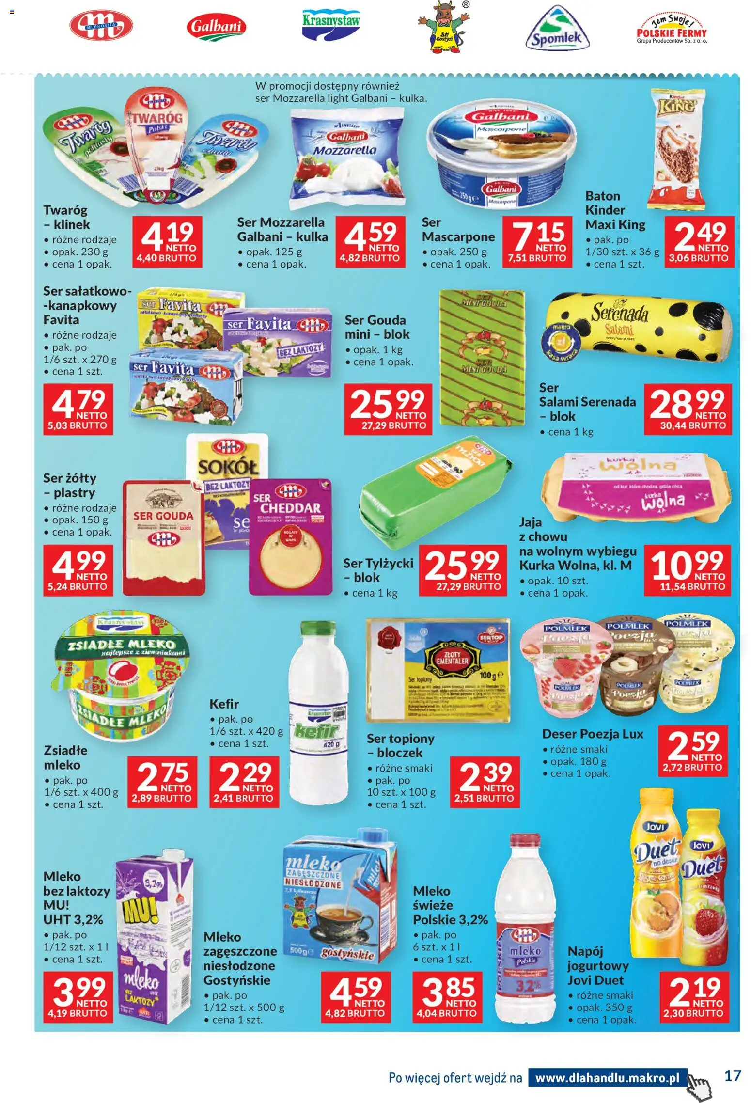 Makro Gazetka - Dystrybucja do sklepów od 07.01.2026 | Strona: 17 | Produkty: Ser topiony, Bez laktozy, Kefir, Mleko