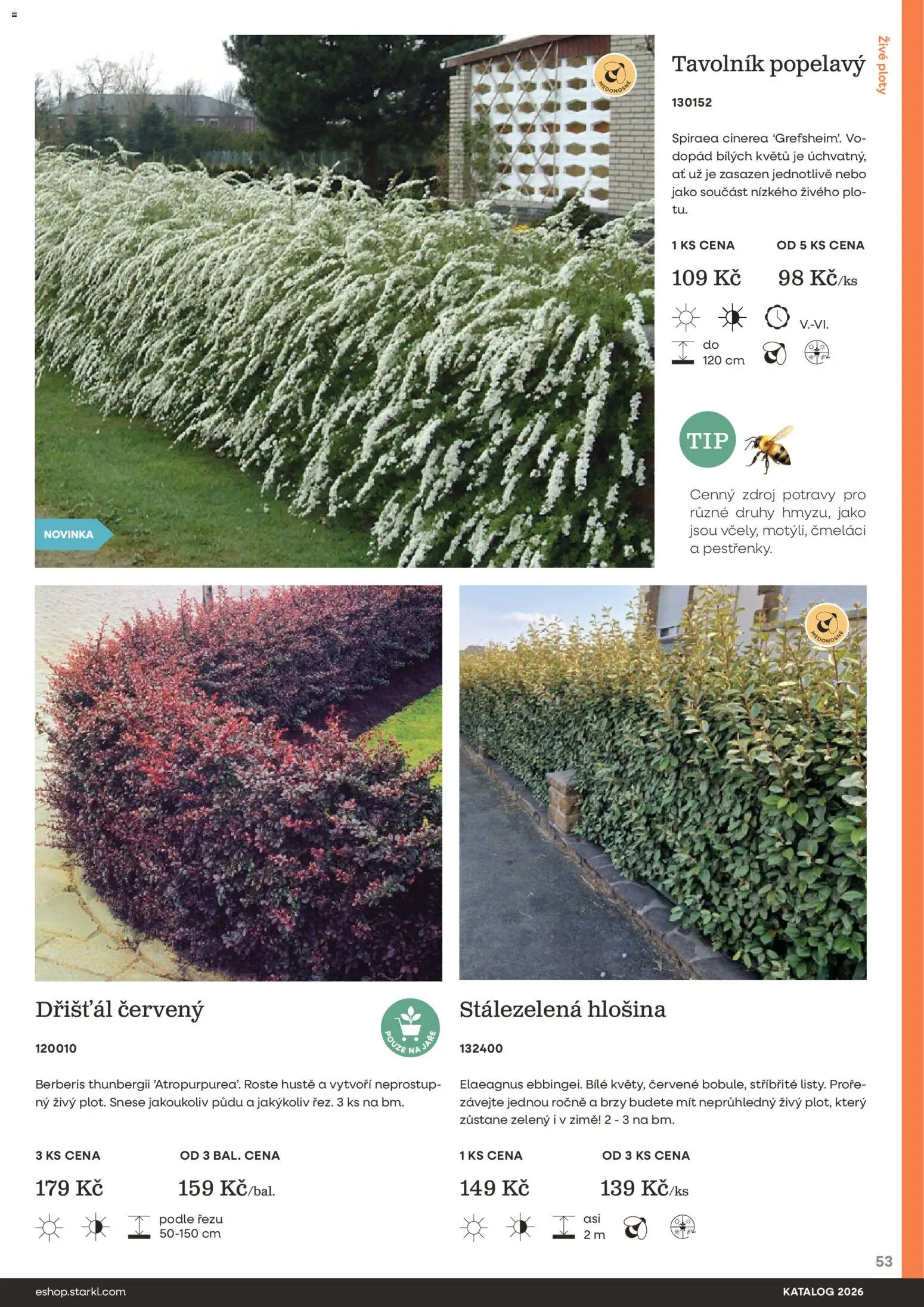 Starkl katalog od 25.02.2026 | Strana: 53