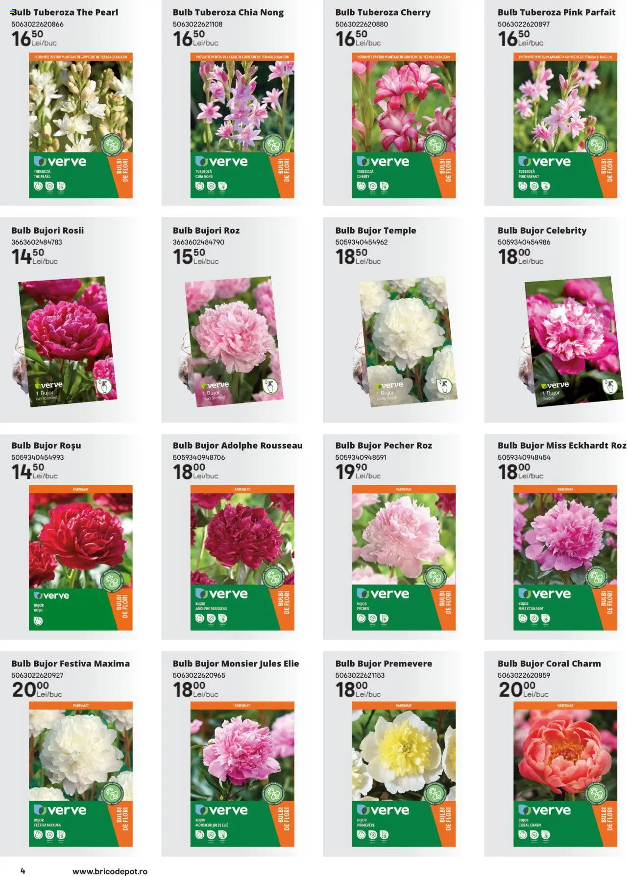 Brico Depot catalog - Semințe – valabil de la 14.02.2025 | Pagină: 4 | Produse: Roșii