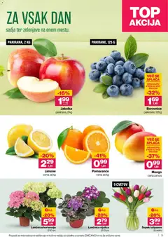 Mercator katalog akcije – veljaven od 16.04.2026 | Stran: 3 | Izdelki: Šopek, Kos, Pomarance, Mango