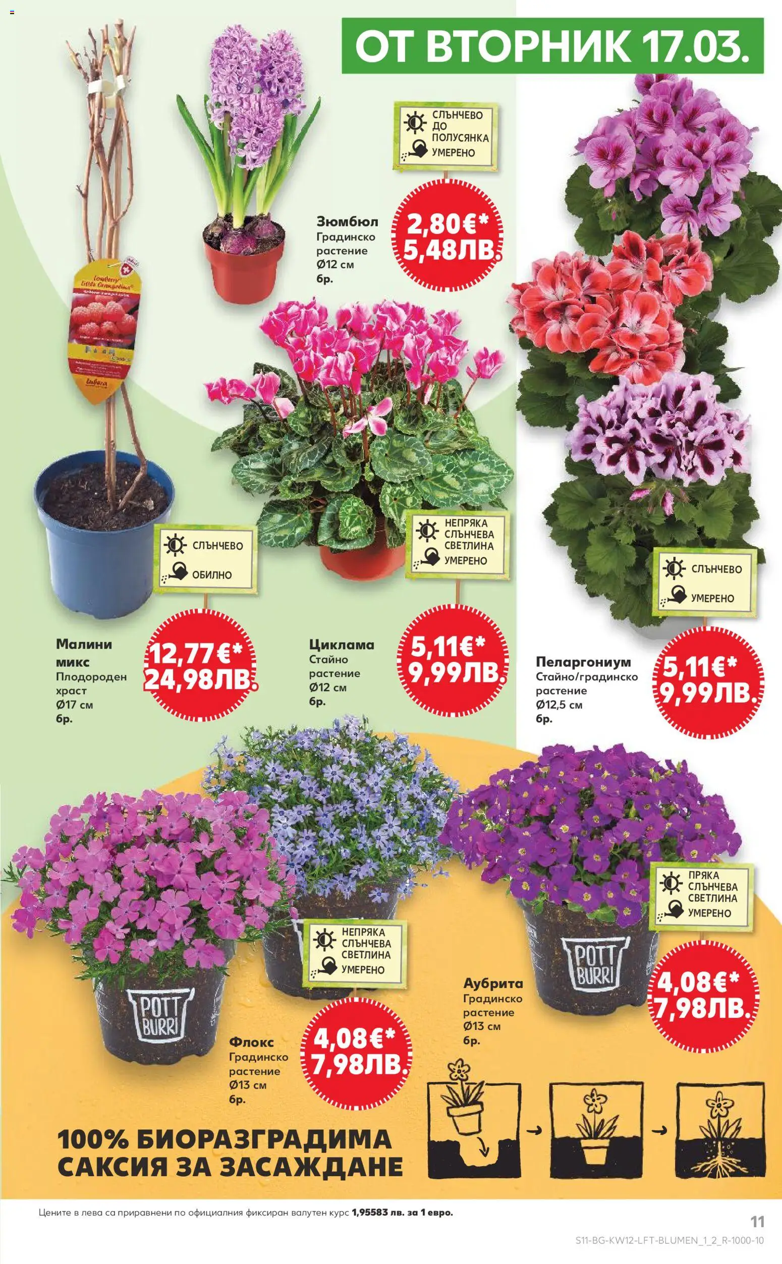 {H1} | Страница: 11 | Продукти: Малини, Саксия