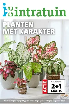 Intratuin - Folder - Voorbeeld van een folder van Intratuin, geldig van 04.08.2025