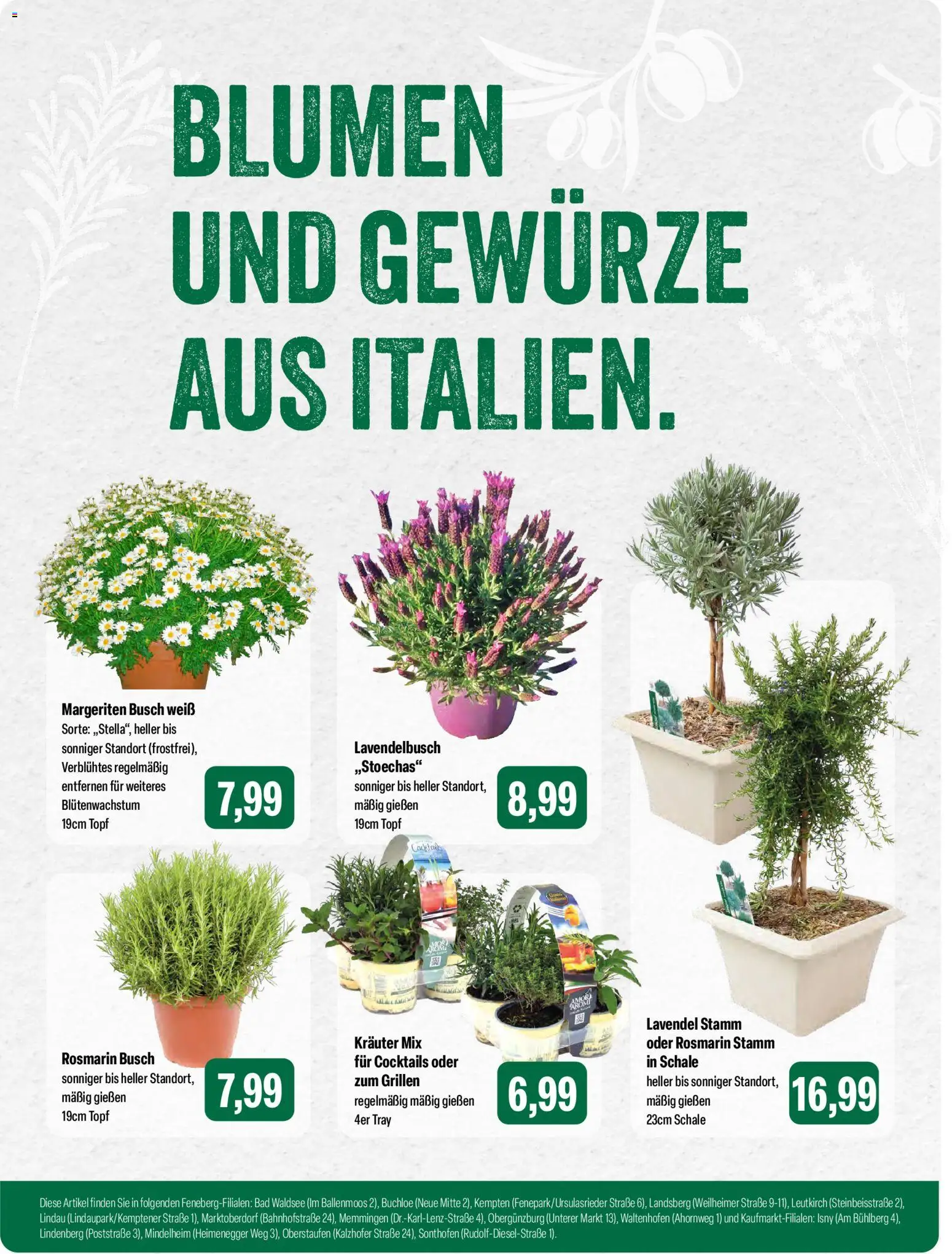 Feneberg Angebote – gültig ab 09.04.2026 | Seite: 9 | Produkte: Bad, Blumen, Gewürze, Lavendel
