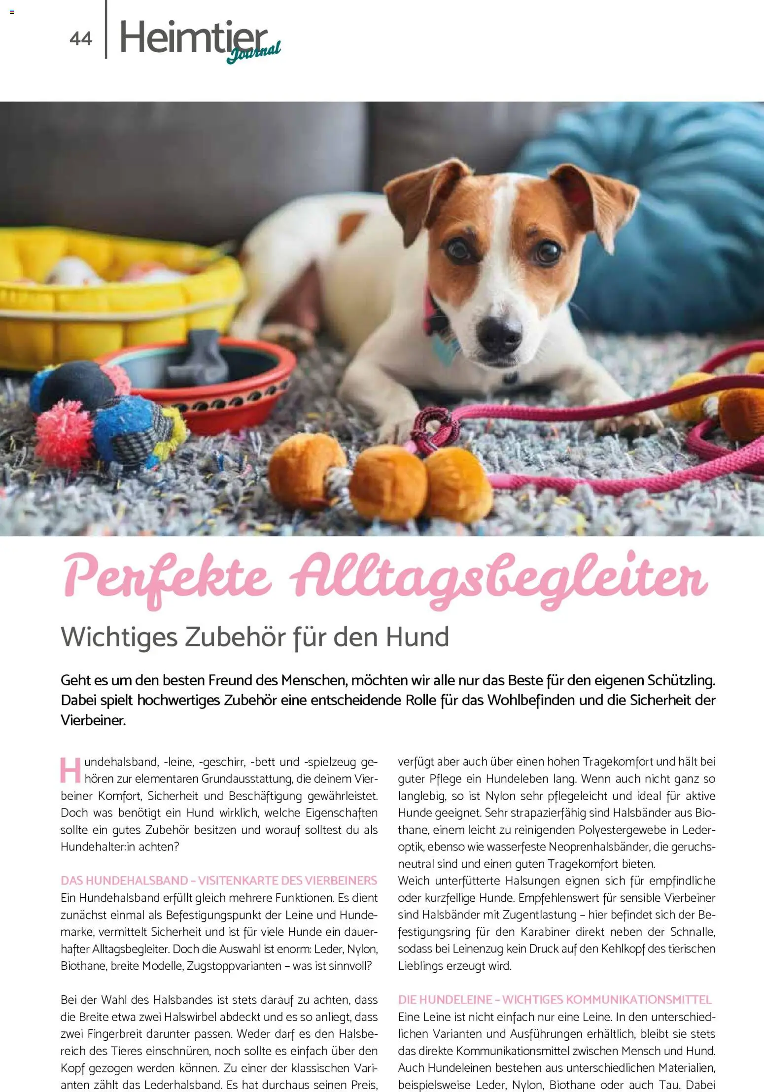 zookauf Prospekt 	 – gültig ab 01.02.2026 | Seite: 44 | Produkte: Bett