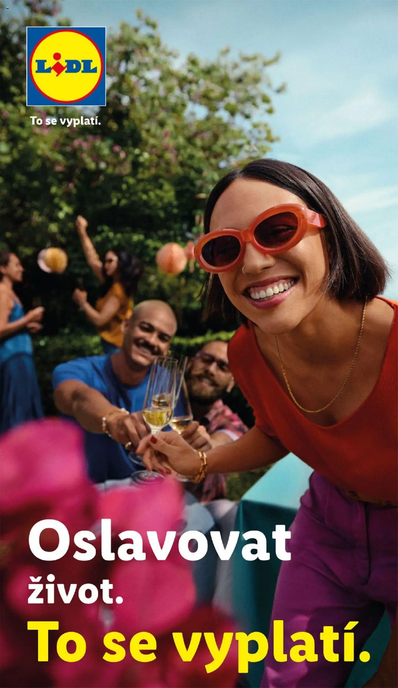 Lidl leták od 23.10.2025 | Strana: 19