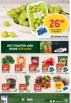  | Side: 12 | Produkter: Druer, Poteter, Пінопласт, Vårløk