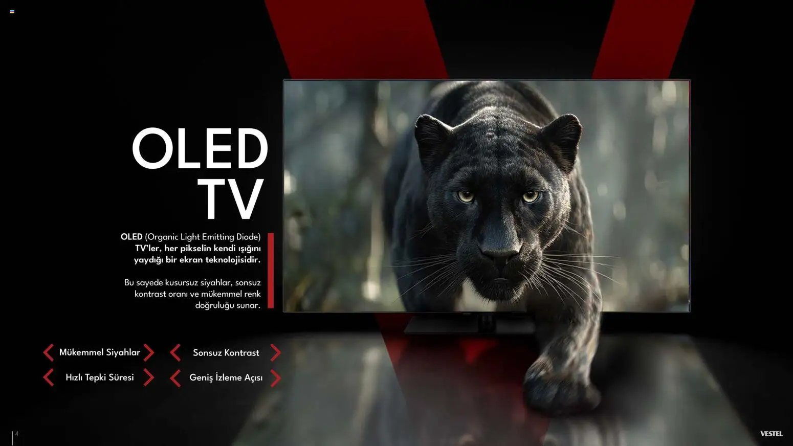 Vestel - Tüketici Elektroniği Katalog - 10.03.2026 tarihinden itibaren geçerlidir | Sayfa: 5