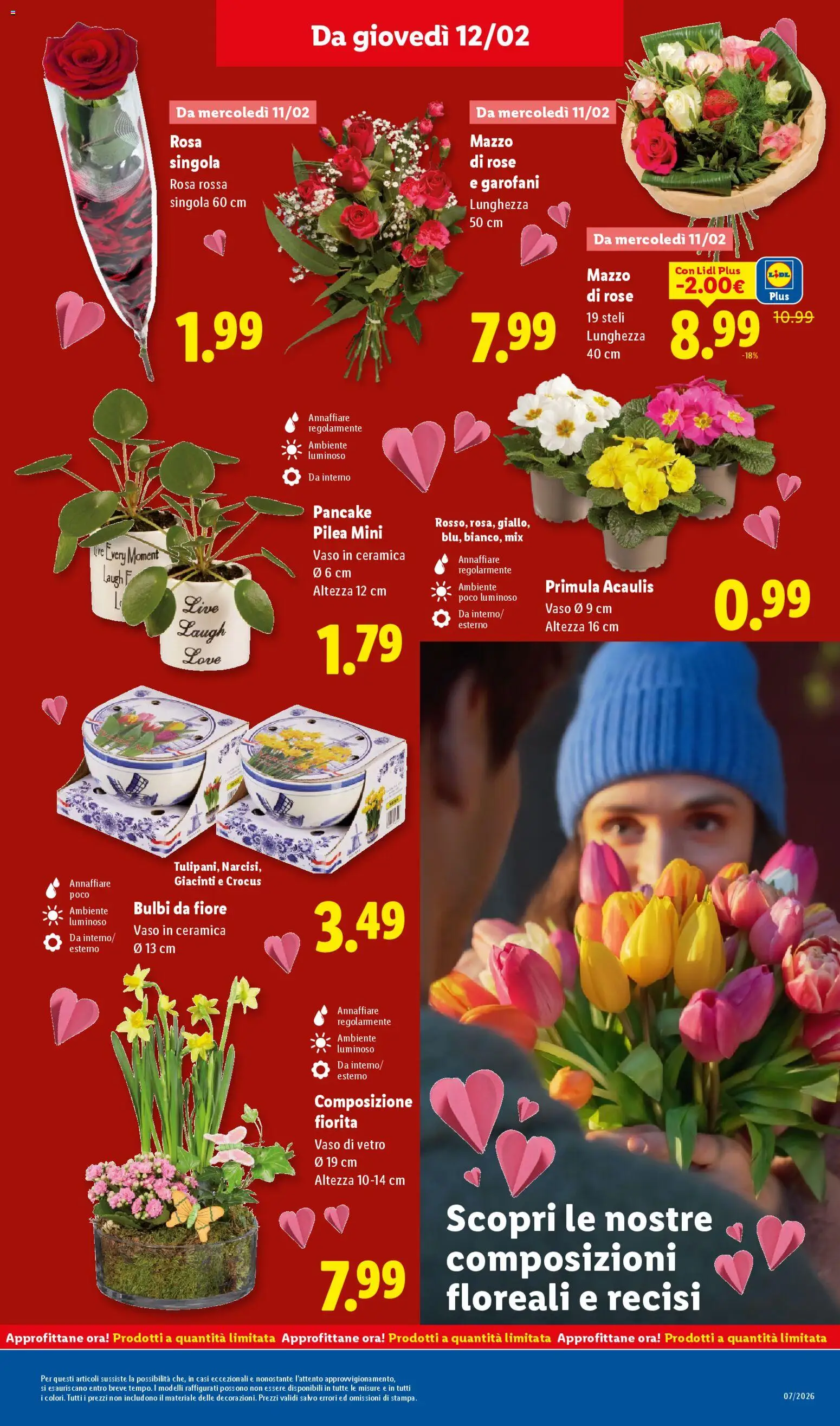 Volantino Lidl del 09.02.2026 | Pagina: 37