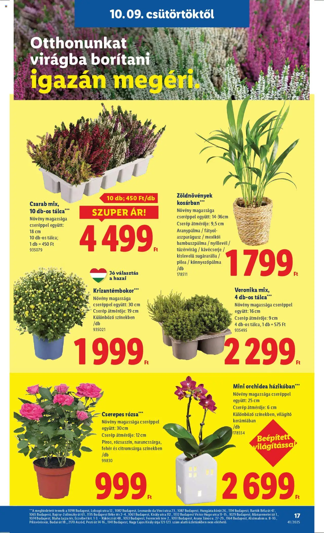 Lidl akciós ujság - amely érvényes a következő dátumtól: 09.10.2025 | Oldal: 17 | Termékek: Orchidea