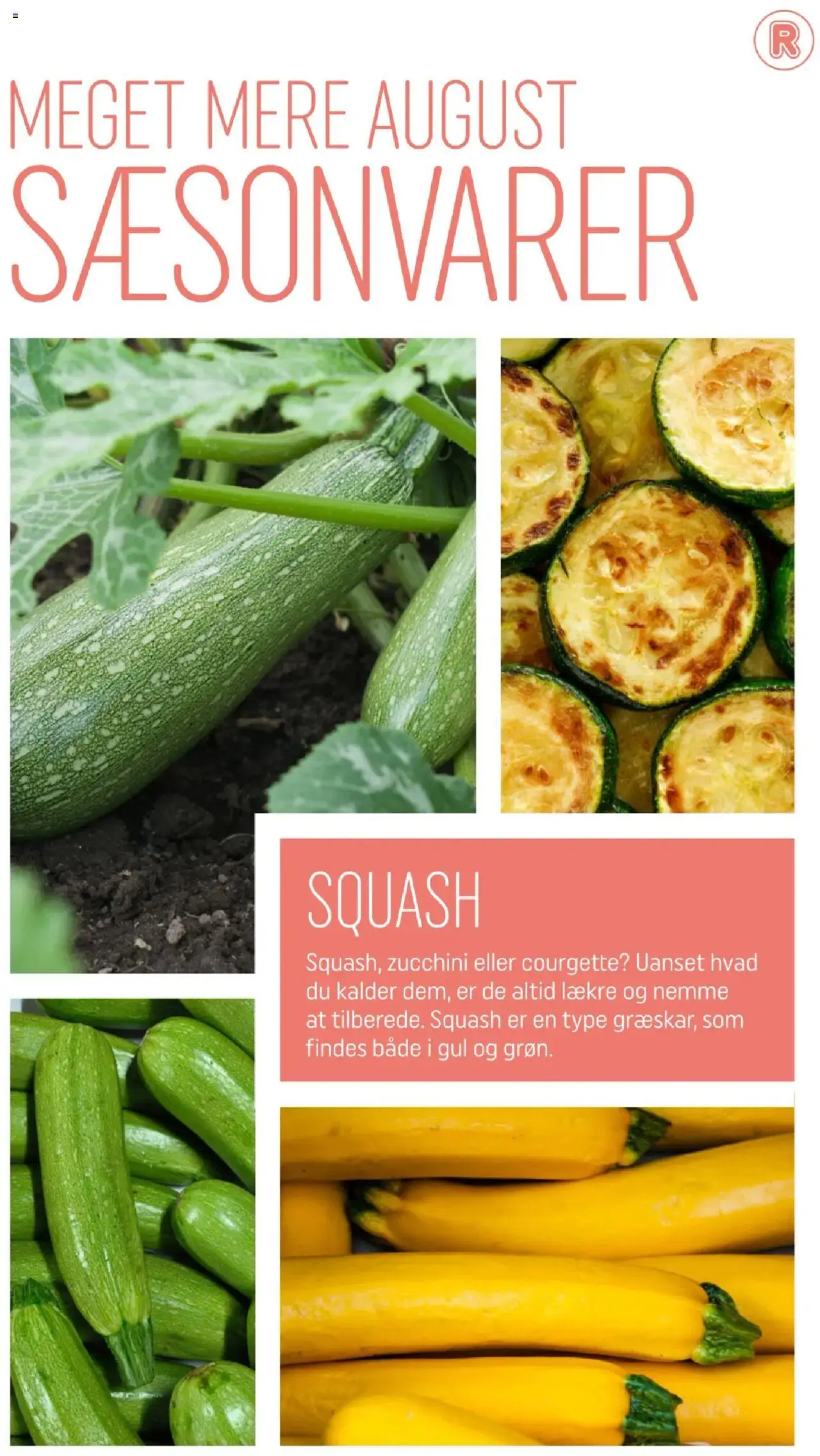 Rema 1000 Tilbudsavis gyldig fra 01.08.2025 | Side: 3 | Produkter: Squash, Søm