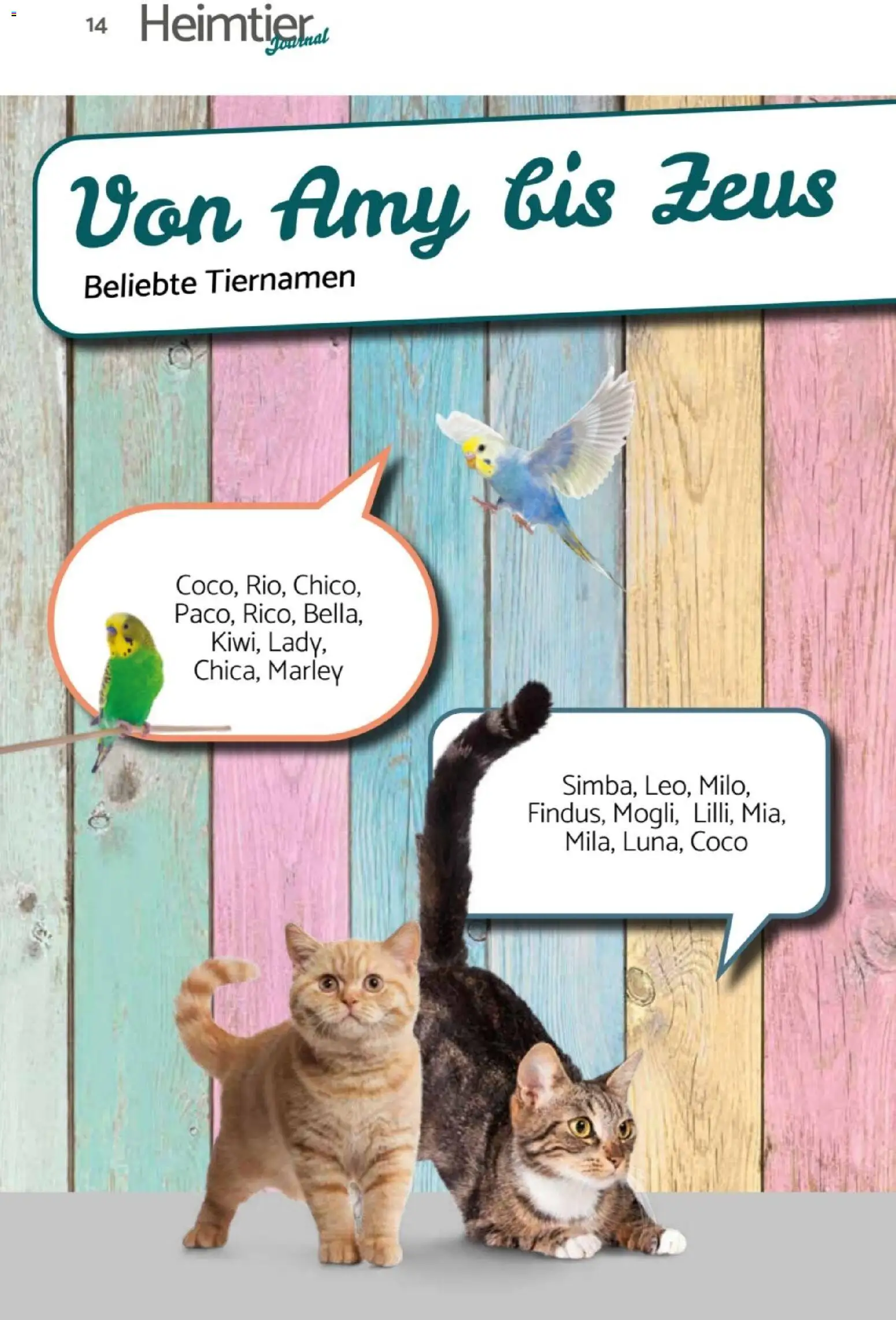 zookauf  Heimtier Journal – gültig ab 01.02.2026 | Seite: 14