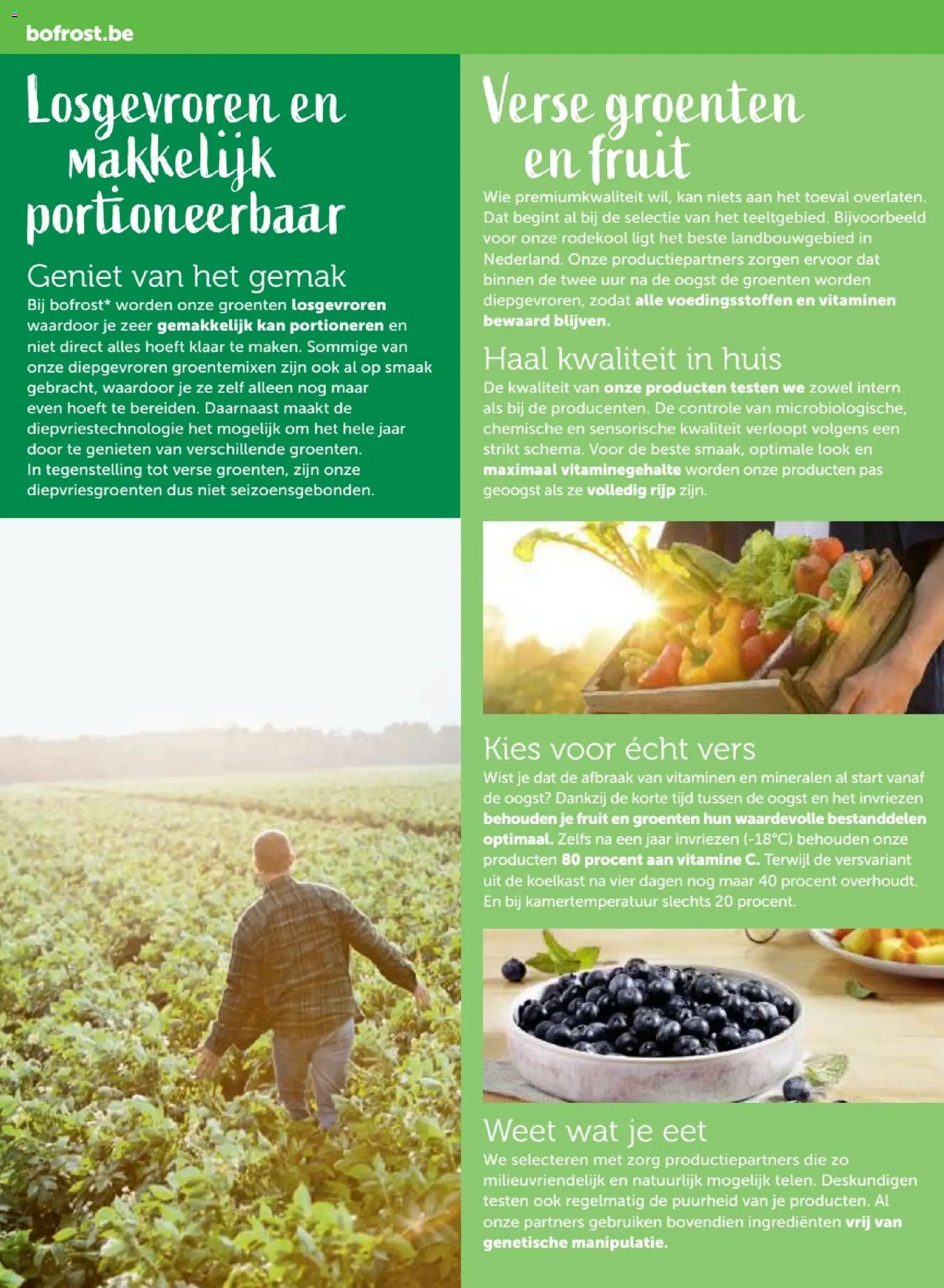 {H1} | Pagina: 38 | Producten: Koelkast, Fruit, Groenten, Kan