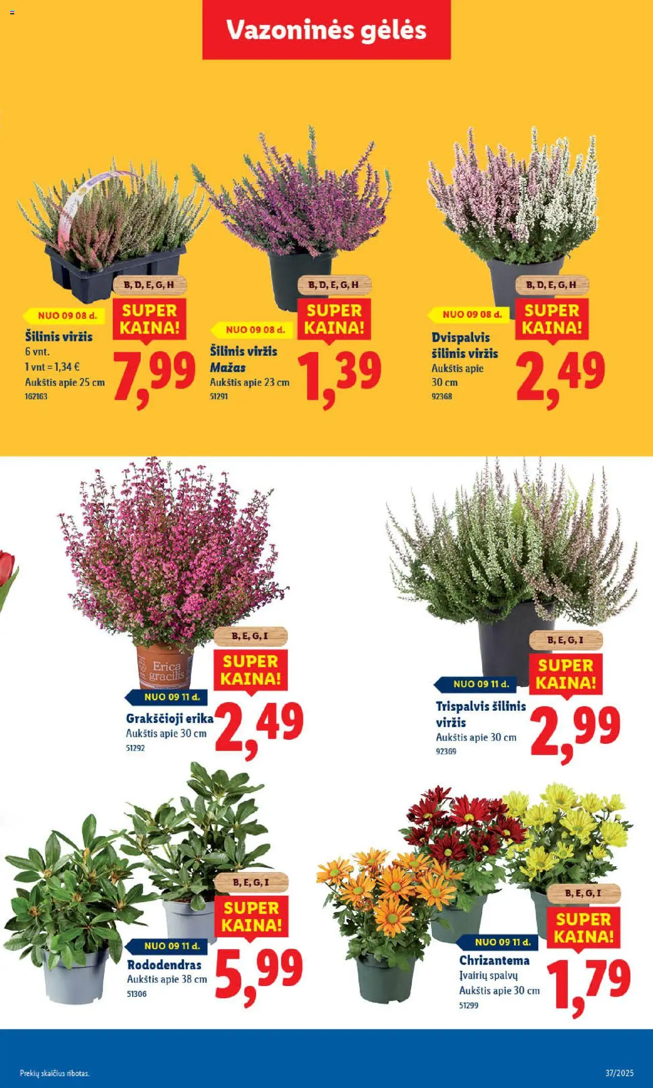 LIDL akcijos nuo 08.09.2025 | Puslapis: 41
