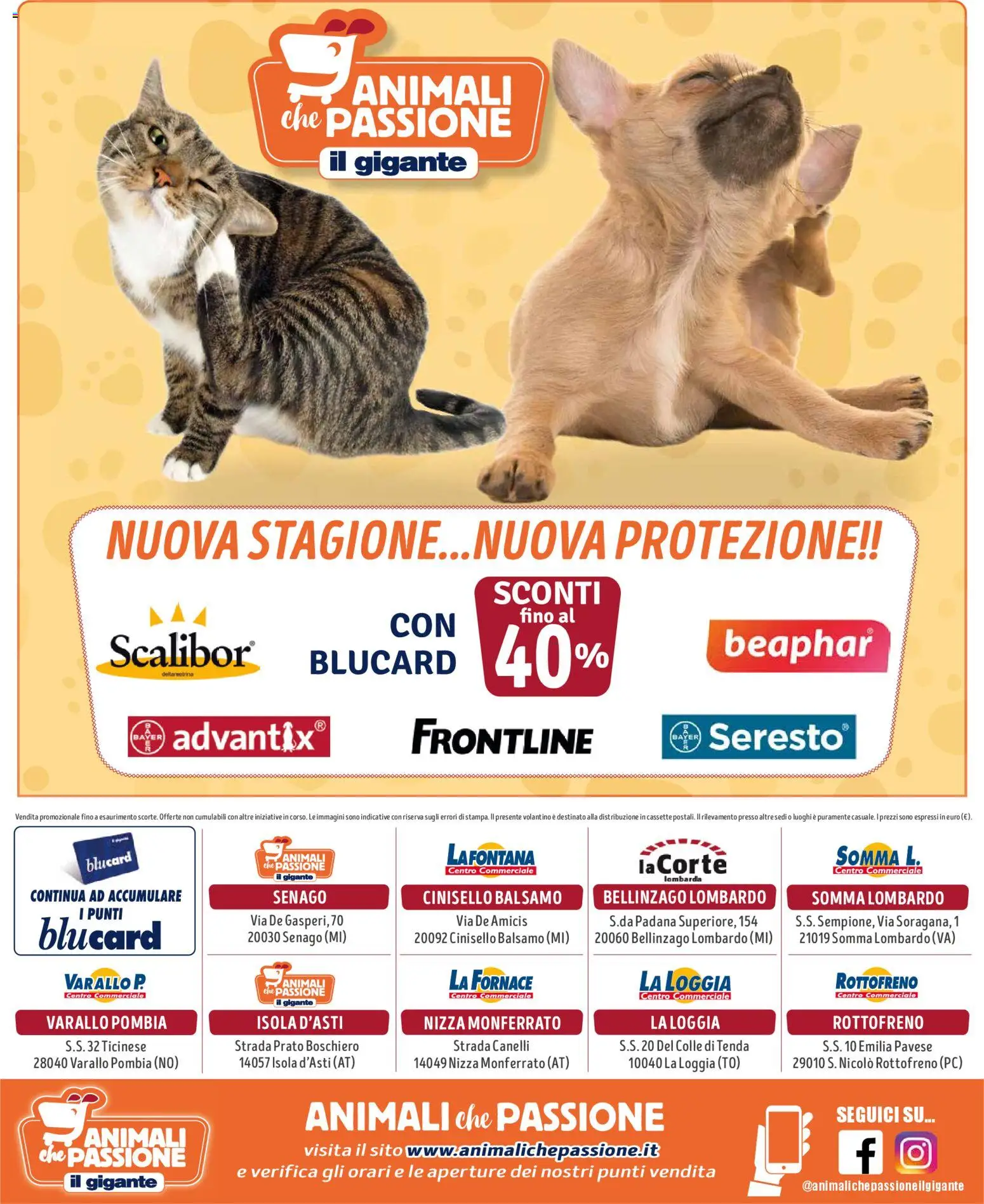 Volantino Il Gigante del 09.04.2026 | Pagina: 8 | Prodotti: Balsamo, Tenda, PC