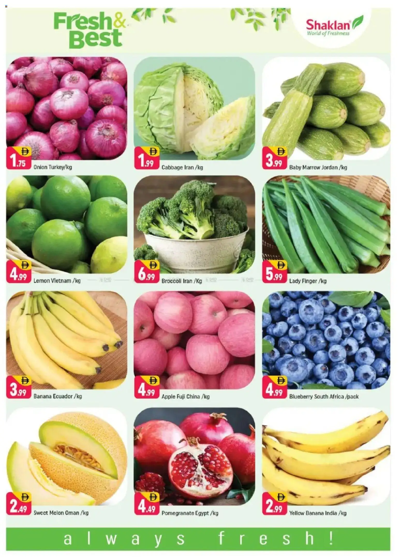 {H1} | Page: 2 | Products: Pizza, Myčka