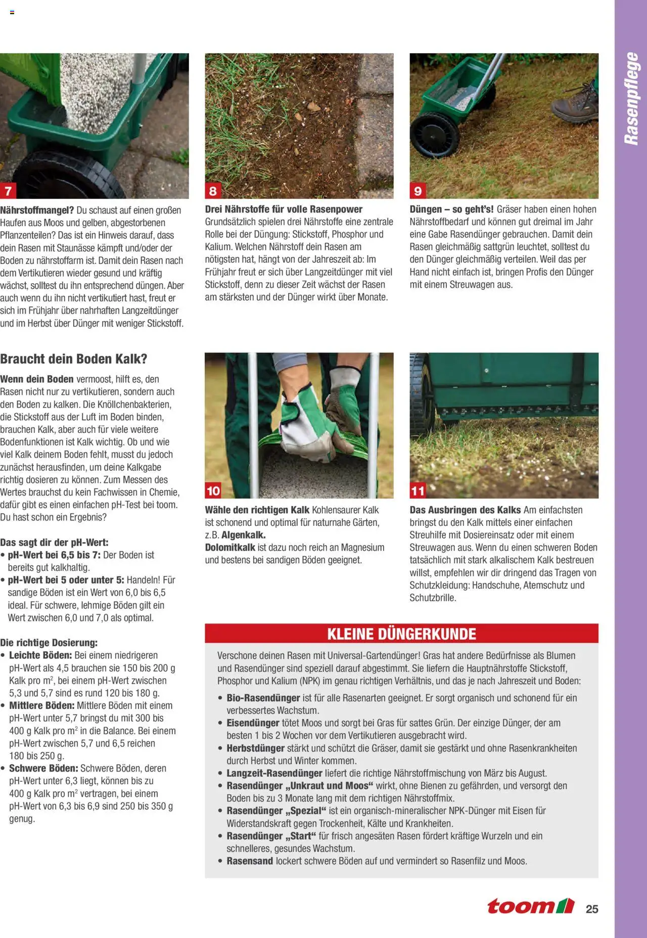 Toom Baumarkt Rasen anlegen und pflegen - gültig ab dem 01.01.2024 | Seite: 25