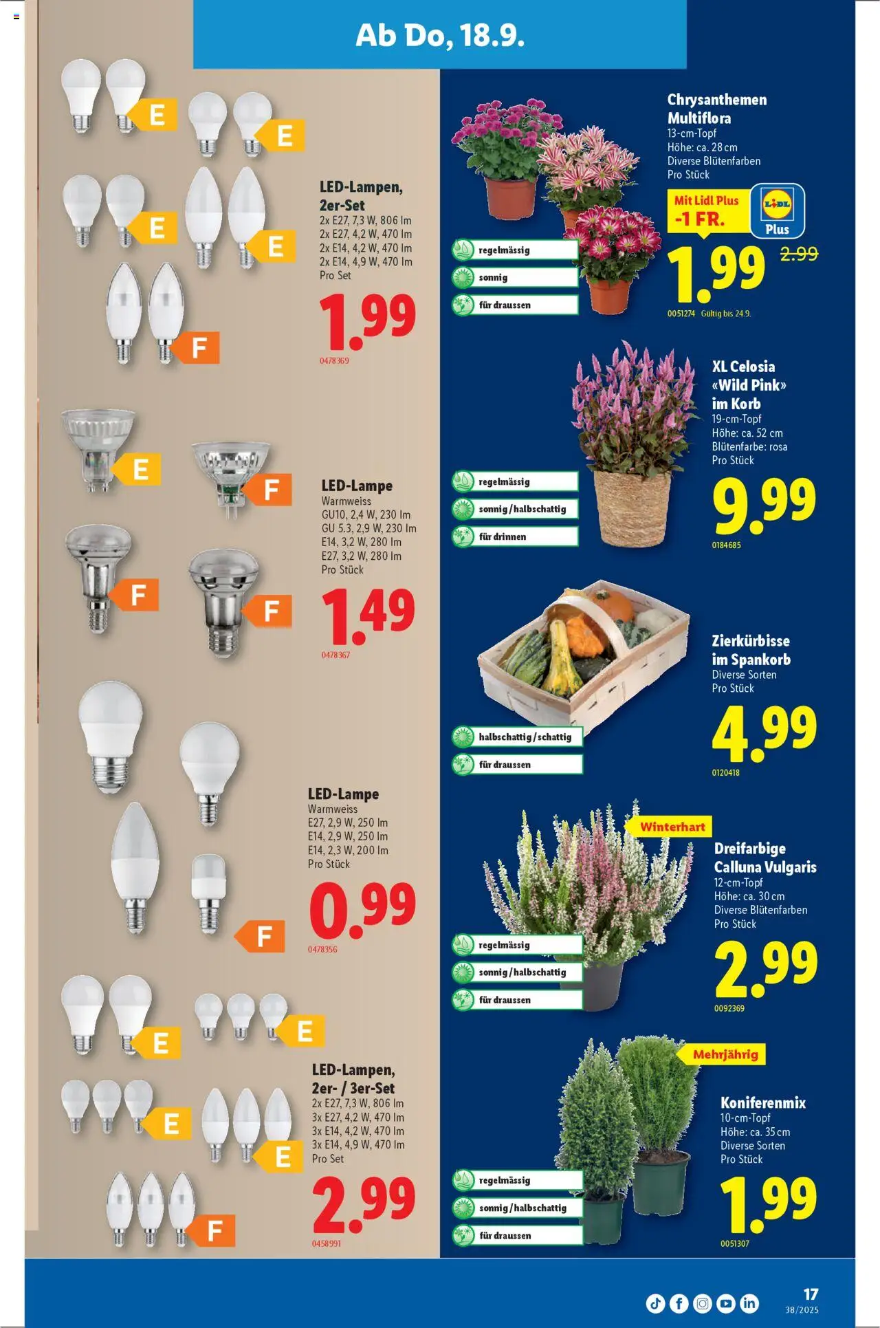 Lidl Aktionen – gültig ab 18.09.2025 | Seite: 17