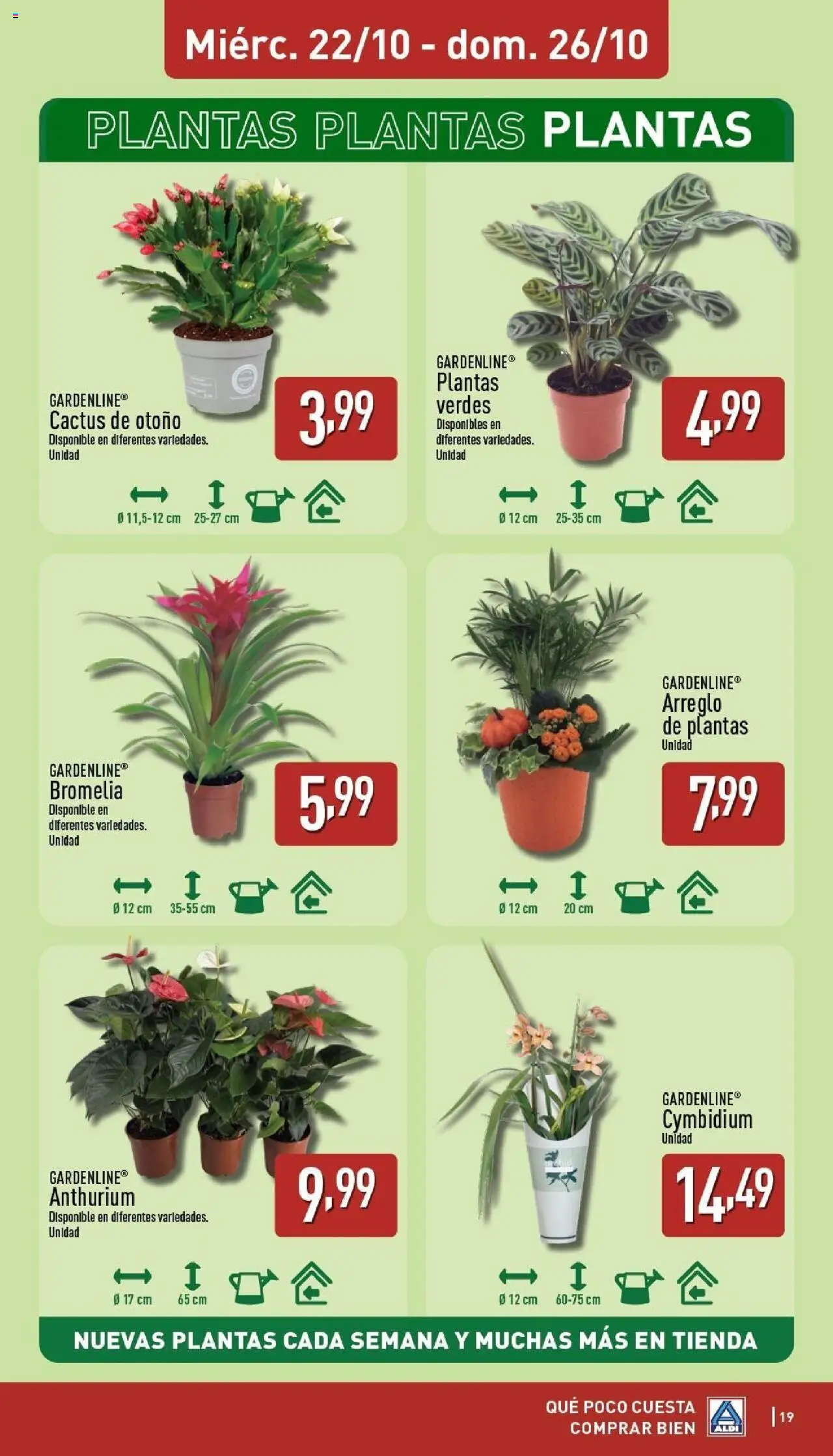 Aldi folleto Península │ válido desde el 20.10.2025 | Página: 19