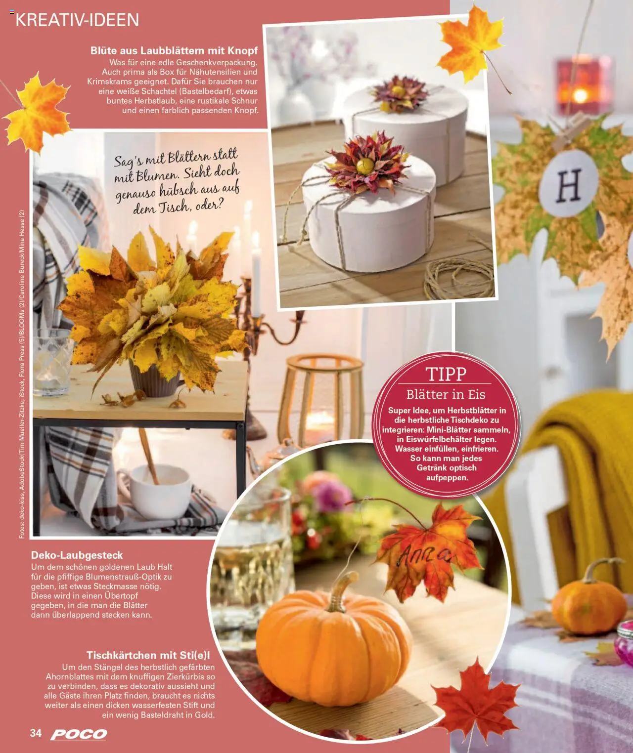 Poco Wohnwelt Herbst 2025 – gültig ab 01.09.2025 | Seite: 34 | Produkte: Box, Wasser, Eis