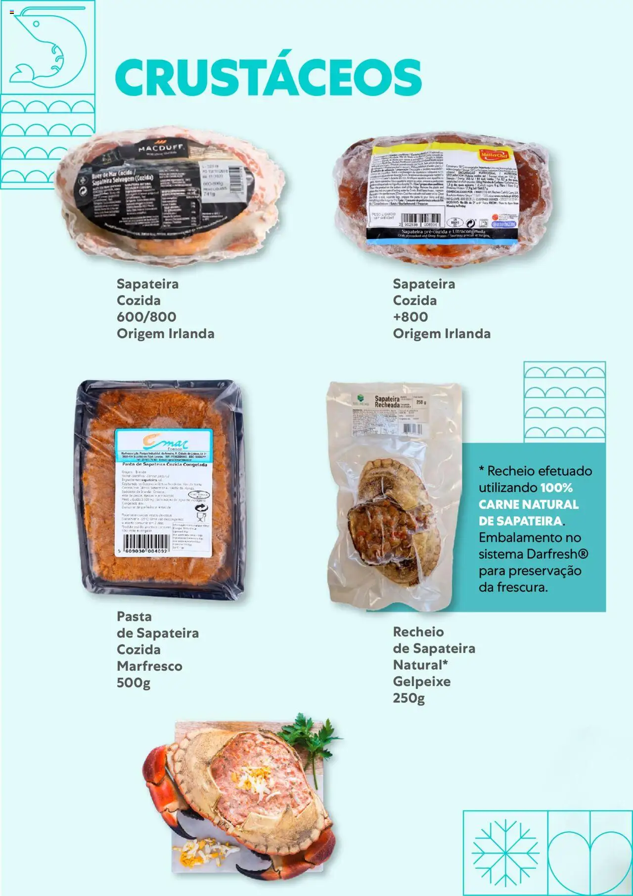Recheio - Congelados do Mar e da Terra │ válido de 14.07.2025 | Página: 10 | Produtos: Sapateira, Carne