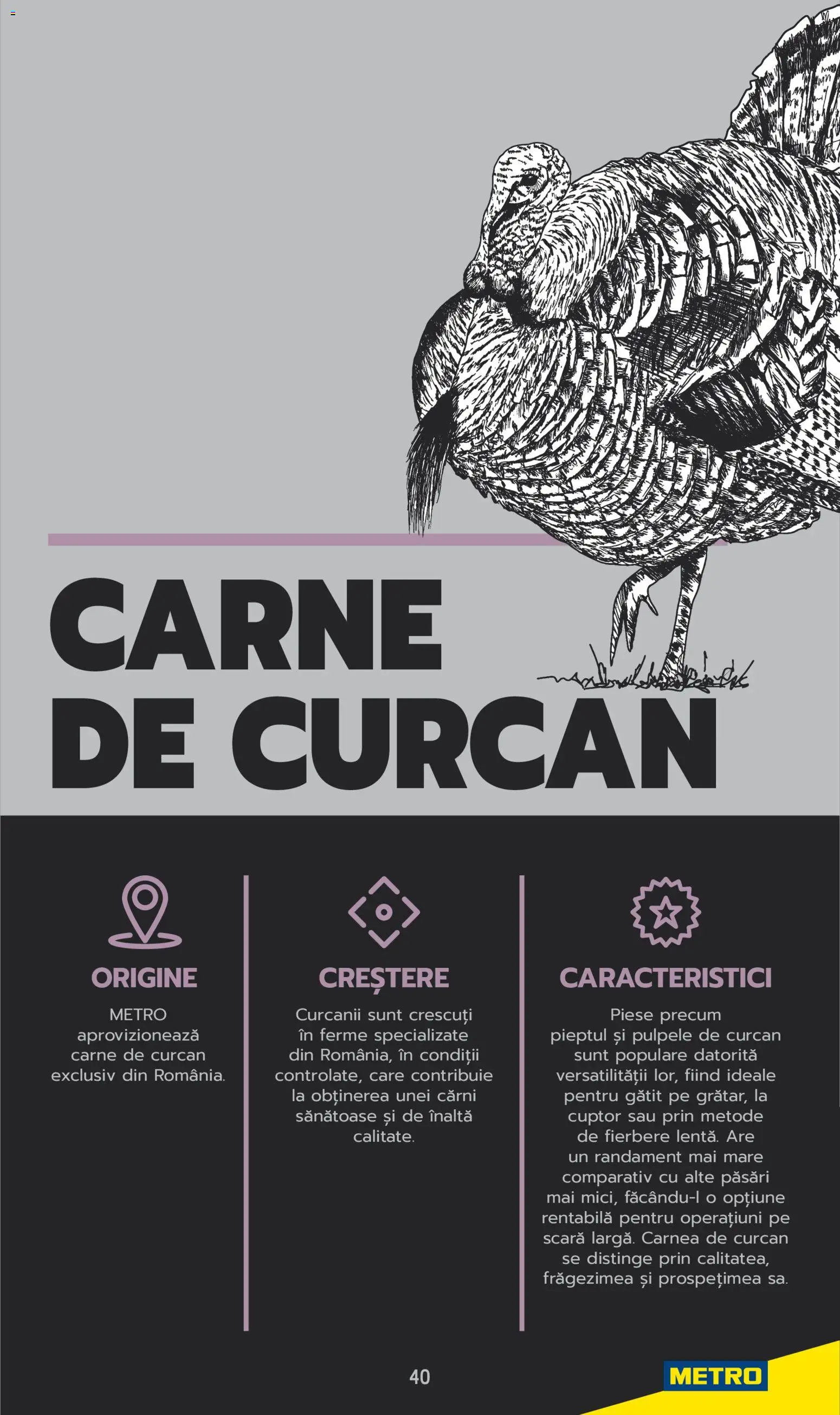 Noul catalog Metro – valabil de la 03.06.2025 | Pagină: 40 | Produse: Cuptor, Scară