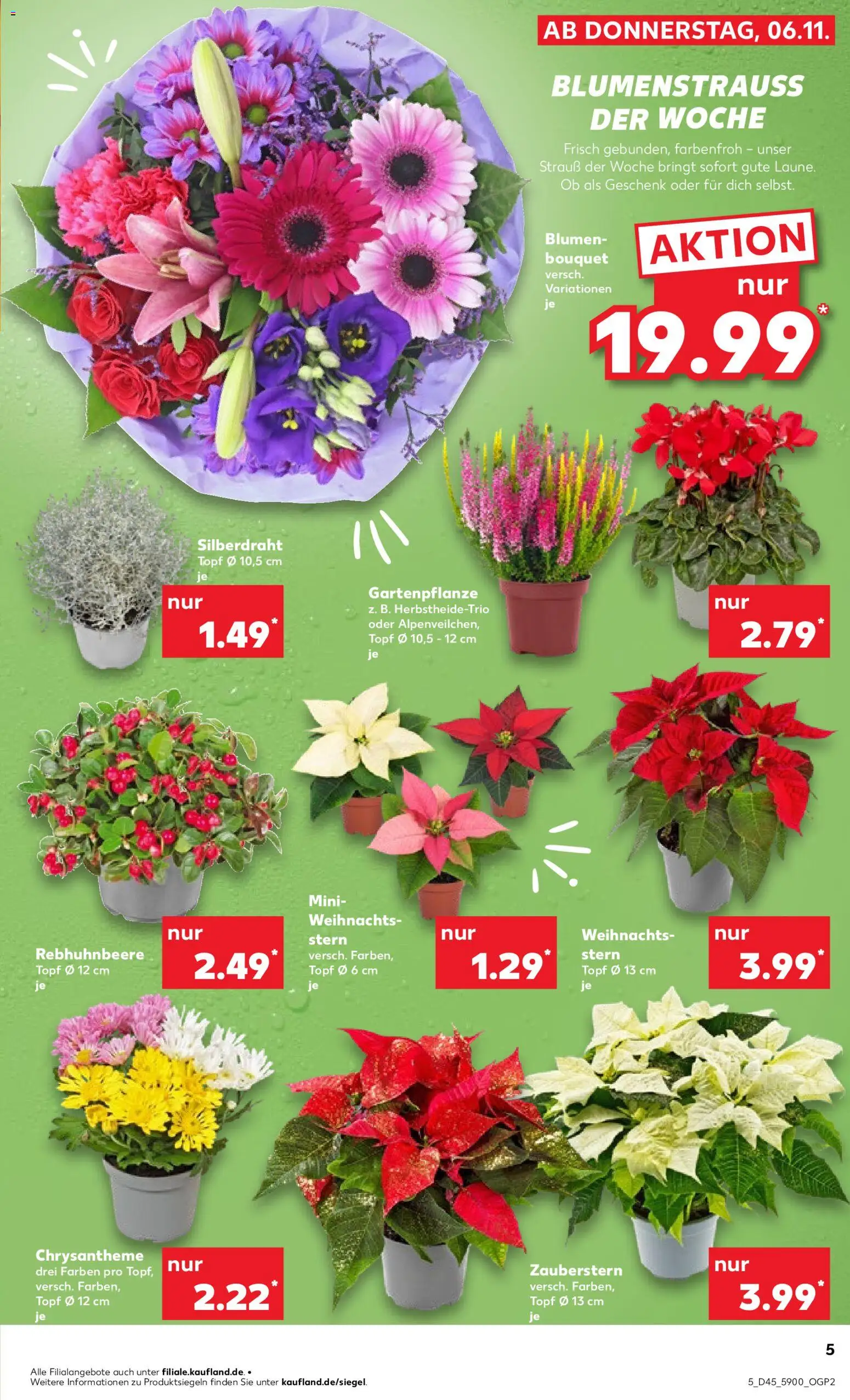 Kaufland prospekt Rostock	 – gültig ab 06.11.2025 | Seite: 5 | Produkte: Blumen