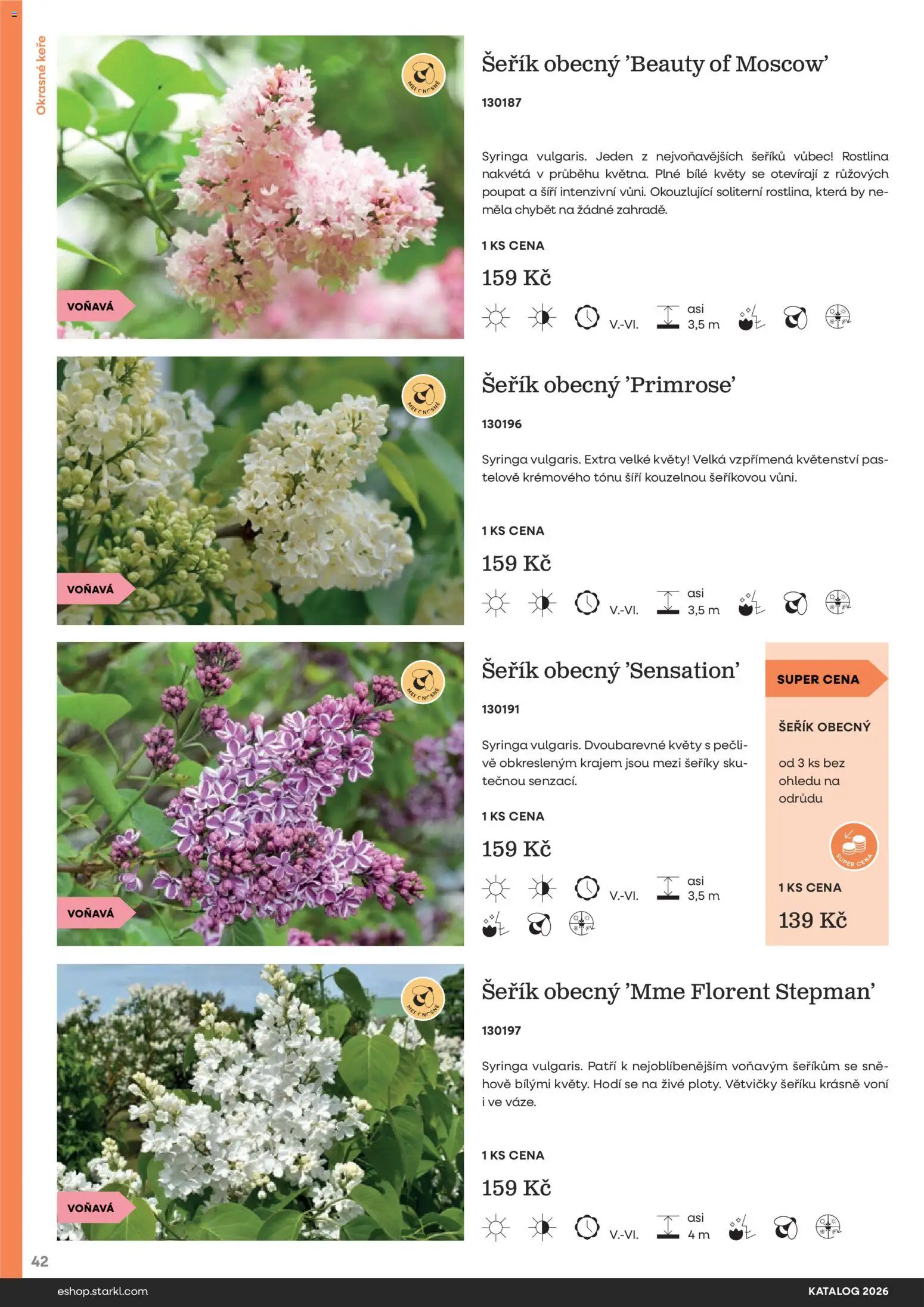 Starkl katalog od 25.02.2026 | Strana: 42