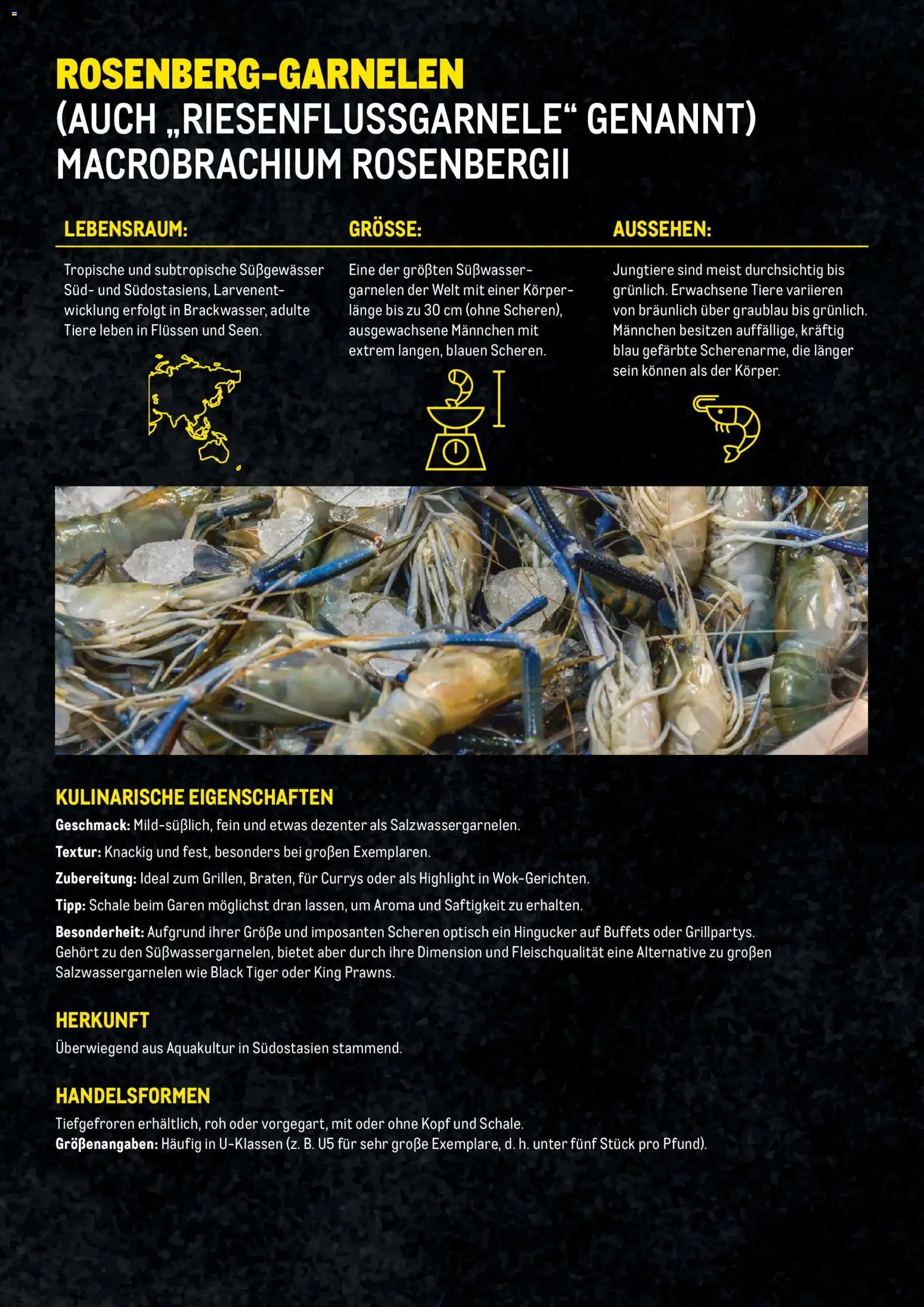 Metro Garnelen Folder gültig ab 27.11.2025 | Seite: 14