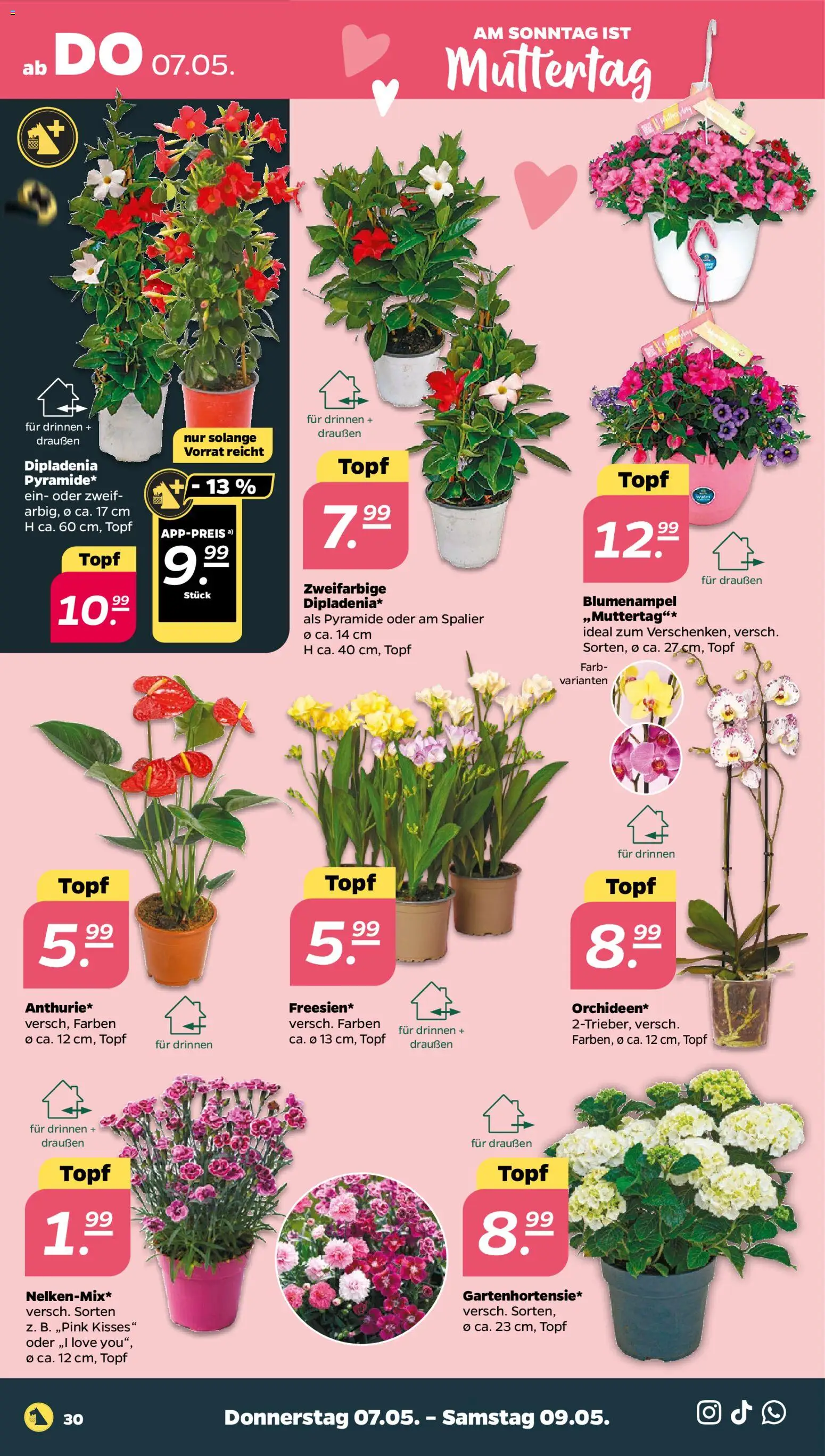 Netto Prospekt 	 – gültig ab 04.05.2026 | Seite: 34