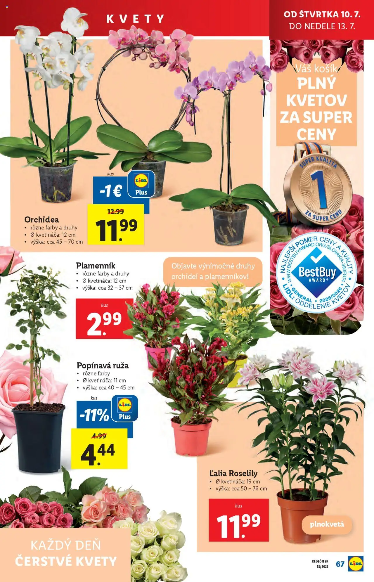 Lidl leták │ platný od 07.07.2025 | Strana: 79 | Produkty: Kvety, Orchidea