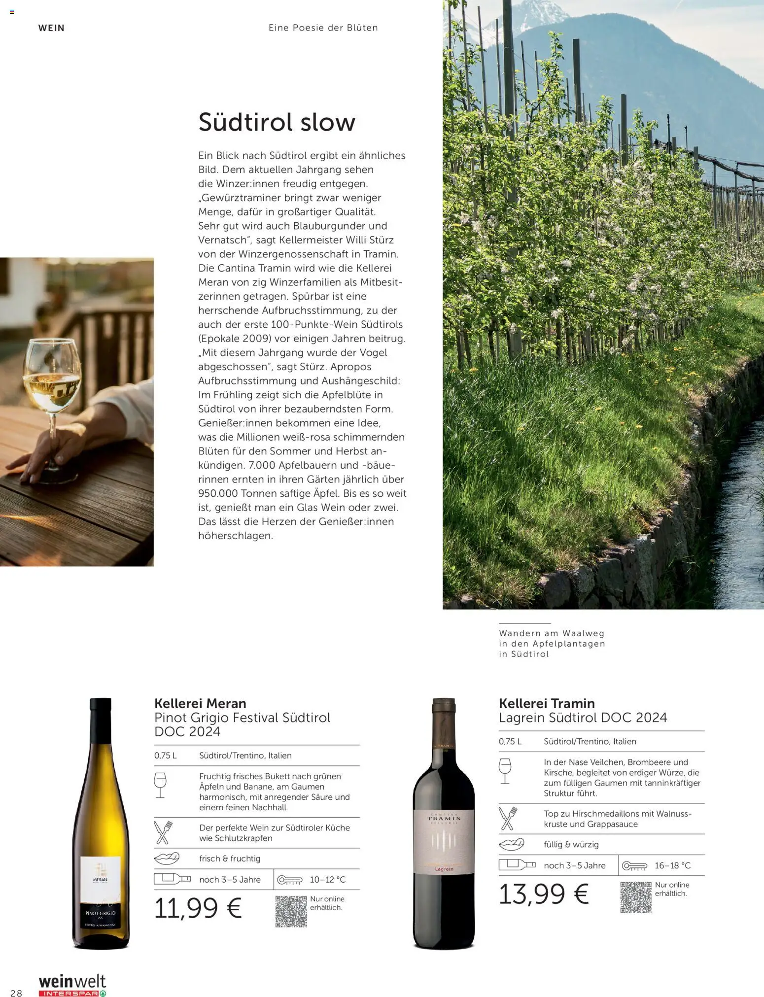 Interspar Meine Weinwelt Frühling 2026 gültig ab 05.03.2026 | Seite: 28 | Produkte: Wein